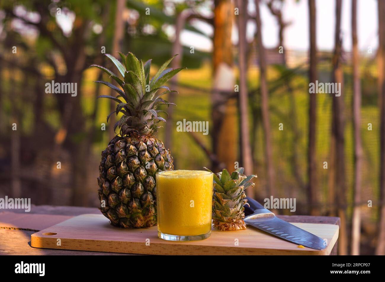 Ananas (ananas comosus) sur bois avec fond de jardin flou.goût sucré, aigre et juteux.avoir beaucoup de fibres, vitamines C. Banque D'Images