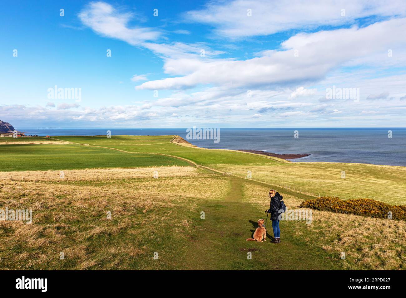 Le Cleveland Way, North Yorkshire Coast, Royaume-Uni, Angleterre, la promenade de Port Mulgrave aux staithes sur le Cleveland Way, promenade sur la falaise Banque D'Images
