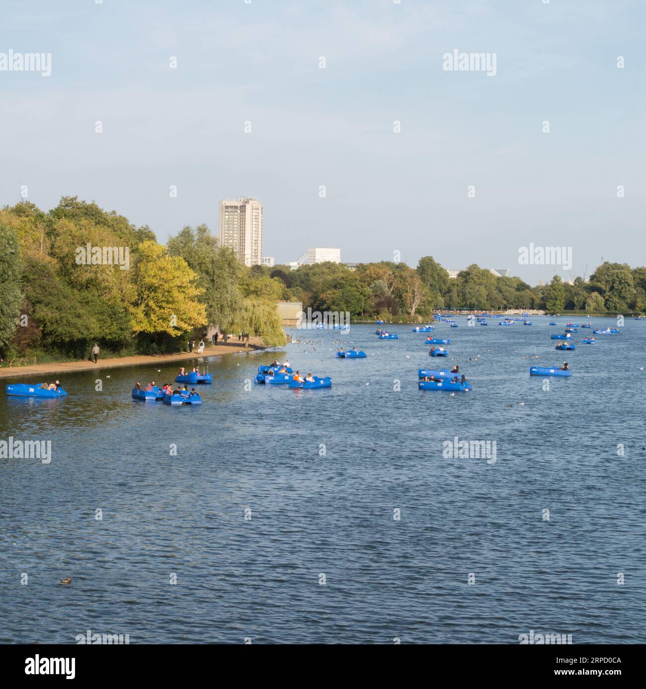 Pédalos sur le Serpentine dans Hyde Park de Londres avec le Park Lane Hilton en arrière-plan Banque D'Images