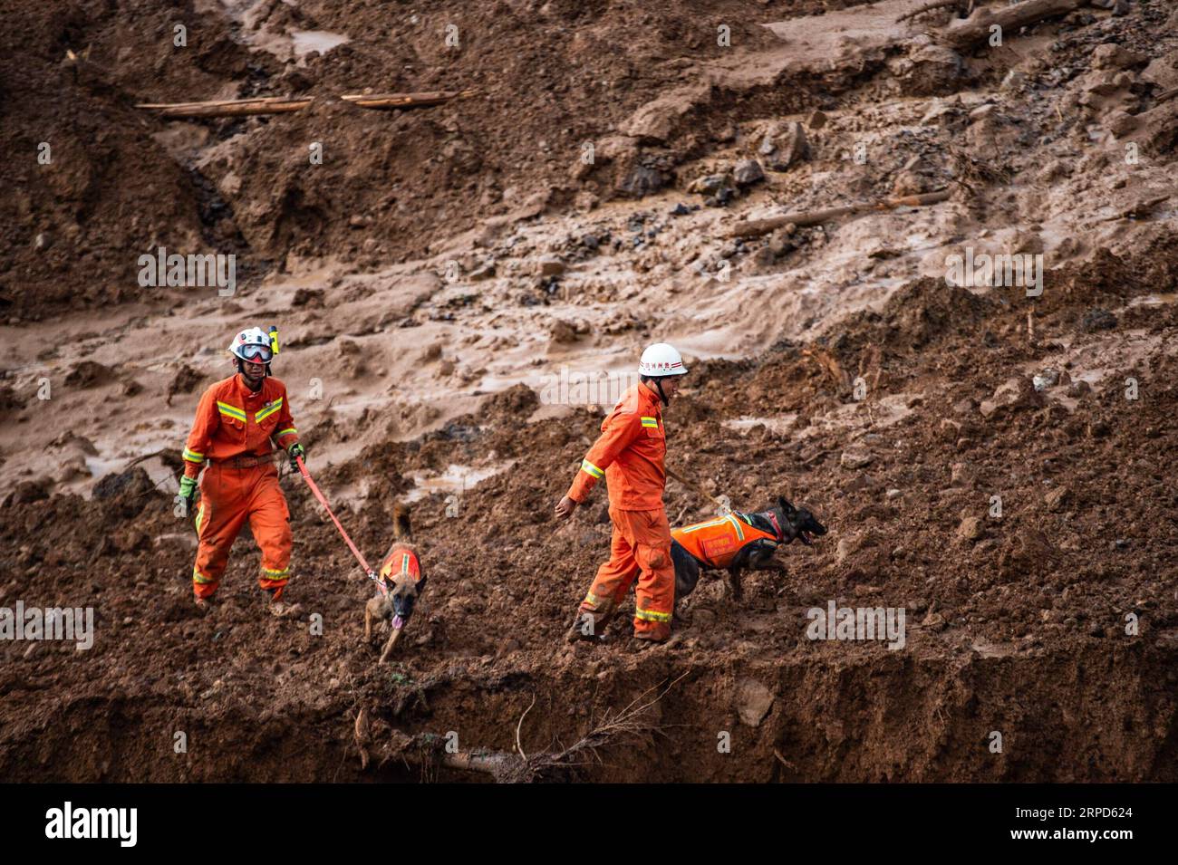 (190724) -- SHUICHENG, 24 juillet 2019 -- des sauveteurs et des chiens de sauvetage recherchent des survivants sur un site de glissement de terrain au village de Pingdi dans le comté de Shuicheng de la ville de Liupanshui, dans le sud-ouest de la Chine, province du Guizhou, 24 juillet 2019. Onze personnes sont mortes après un glissement de terrain qui a frappé le village de Pingdi mardi soir, ont déclaré mercredi les autorités locales. Vers 9:20 h (1320 h GMT) mardi, un glissement de terrain a frappé le village, enterrant 21 maisons. Plus de 50 personnes vivaient dans la zone touchée lorsque le glissement de terrain a frappé, selon les sauveteurs. Vers 11 h (0300 h GMT) mercredi, 11 personnes ont été retrouvées mortes, 11 autres Banque D'Images
