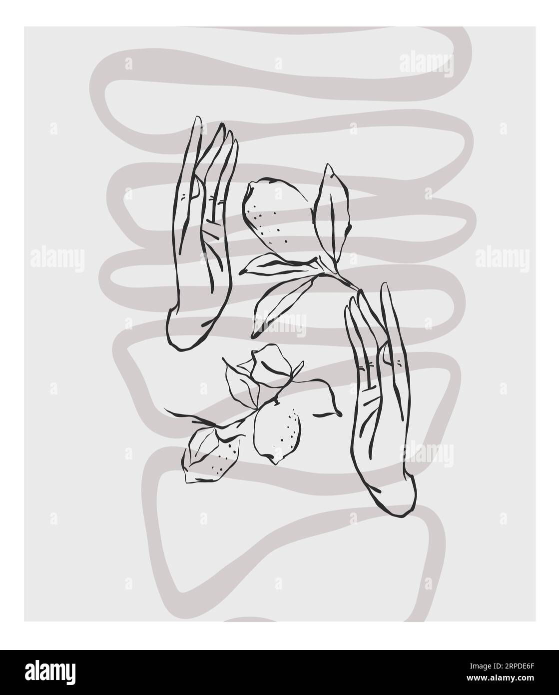 Dessin au trait graphique abstrait vectoriel dessiné à la main impression de collection simple, contemporaine avec l'esthétique Boho formes graphiques organiques.Fashion concept féminin Illustration de Vecteur