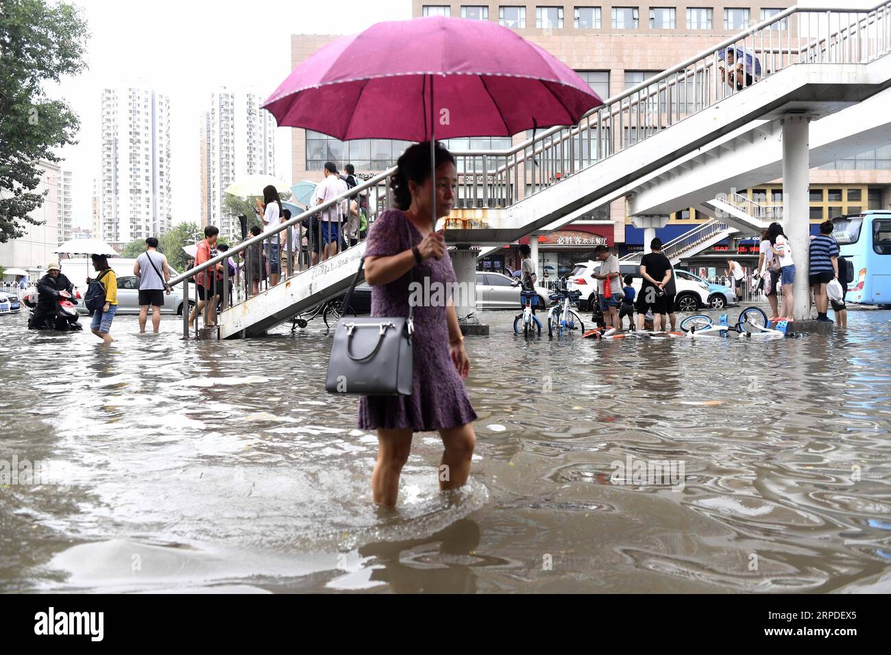 (190802) -- TIANJIN, 2 août 2019 -- Une femme pataugeait dans une rue inondée du district de Hedong à Tianjin, dans le nord de la Chine, le 2 août 2019. Certaines routes du centre-ville de Tianjin ont été inondées à cause de la forte pluie de vendredi.) CHINE-TIANJIN-PLUIE LOURDE YuexYuewei PUBLICATIONxNOTxINxCHN Banque D'Images