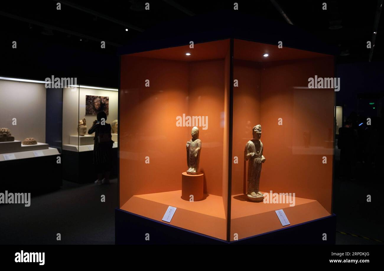 (190807) -- BEIJING, 7 août 2019 -- une photo prise le 6 août 2019 montre des expositions lors d'une exposition de statues bouddhistes tenue au Musée national de Chine à Beijing, capitale de la Chine. Un total de 171 expositions, dont 131 statues bouddhistes du comté de Linzhang dans la province du Hebei du nord de la Chine ont été exposées. CHINE-PÉKIN-EXPOSITION DE STATUES BOUDDHISTES (CN) JINXLIANGKUAI PUBLICATIONXNOTXINXCHN Banque D'Images