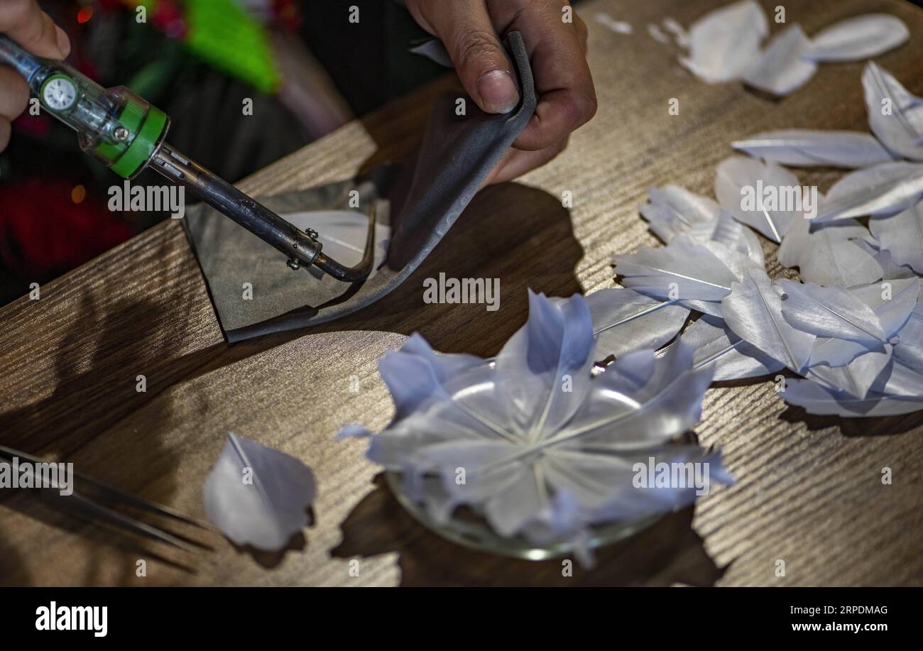 (190807) -- SHIPING, 7 août 2019 -- Zhang Hua fabrique un patchwork de plumes dans son atelier du comté de Shiping, préfecture autonome de Hani-Yi de Honghe, province du Yunnan au sud-ouest de la Chine, 7 août 2019. Né dans le canton de Longpeng dans le comté de Shiping, Zhang Hua, de l'ethnie Yi, s'intéresse à la broderie Yi dès son plus jeune âge et a commencé à apprendre la fabrication de patchwork de plumes depuis 2009. En 2016, Zhang Hua a fondé un studio pour aider les femmes locales à apprendre la broderie et l'art des plumes gratuitement. Puis, avec le soutien du gouvernement local, elle a organisé une coopérative spécialisée dans l’art des plumes pour booster les locaux Banque D'Images