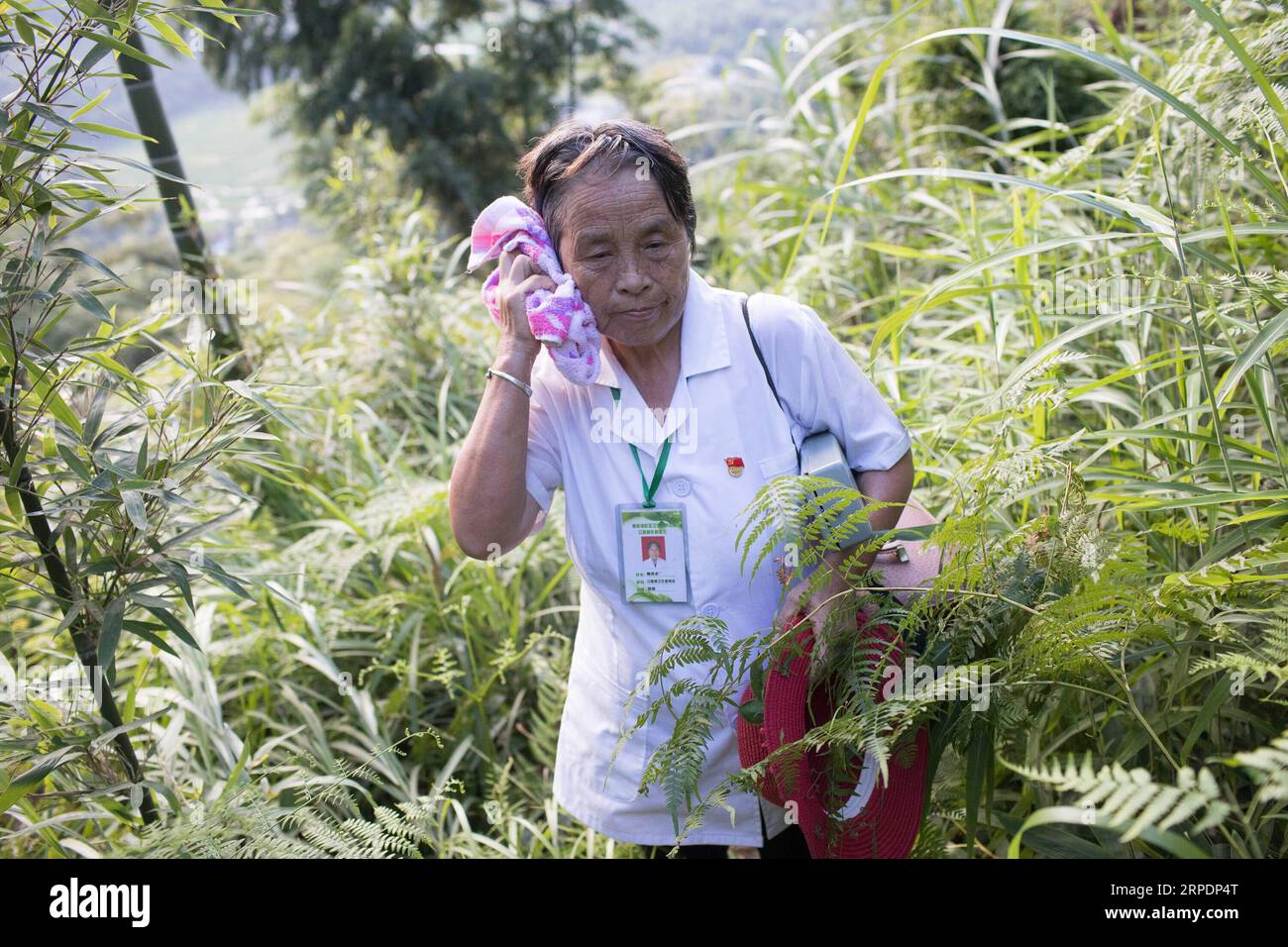 (190809) -- NANCHANG, 9 août 2019 -- Gao Yinshui est vue en route pour une visite à domicile dans le village de Lixin de la ville de Meiling dans le district de Wanli de la ville de Nanchang, province de Jiangxi dans l'est de la Chine, le 8 août 2019. Presque tous les jours au cours des quatre dernières décennies, Gao Yinshui, médecin de village de 69 ans, marche sur des kilomètres sur des routes de montagne pour voir ses patients dans neuf villages différents. Fin 1970, la mère de Gao a eu une urgence et a eu la chance d être sauvée par un médecin rural local. À cause de cela, Gao Yinshui a renoncé à l'opportunité d'être enseignant et a choisi de devenir médecin rural. Cependant, elle n'a pas de fou médical Banque D'Images