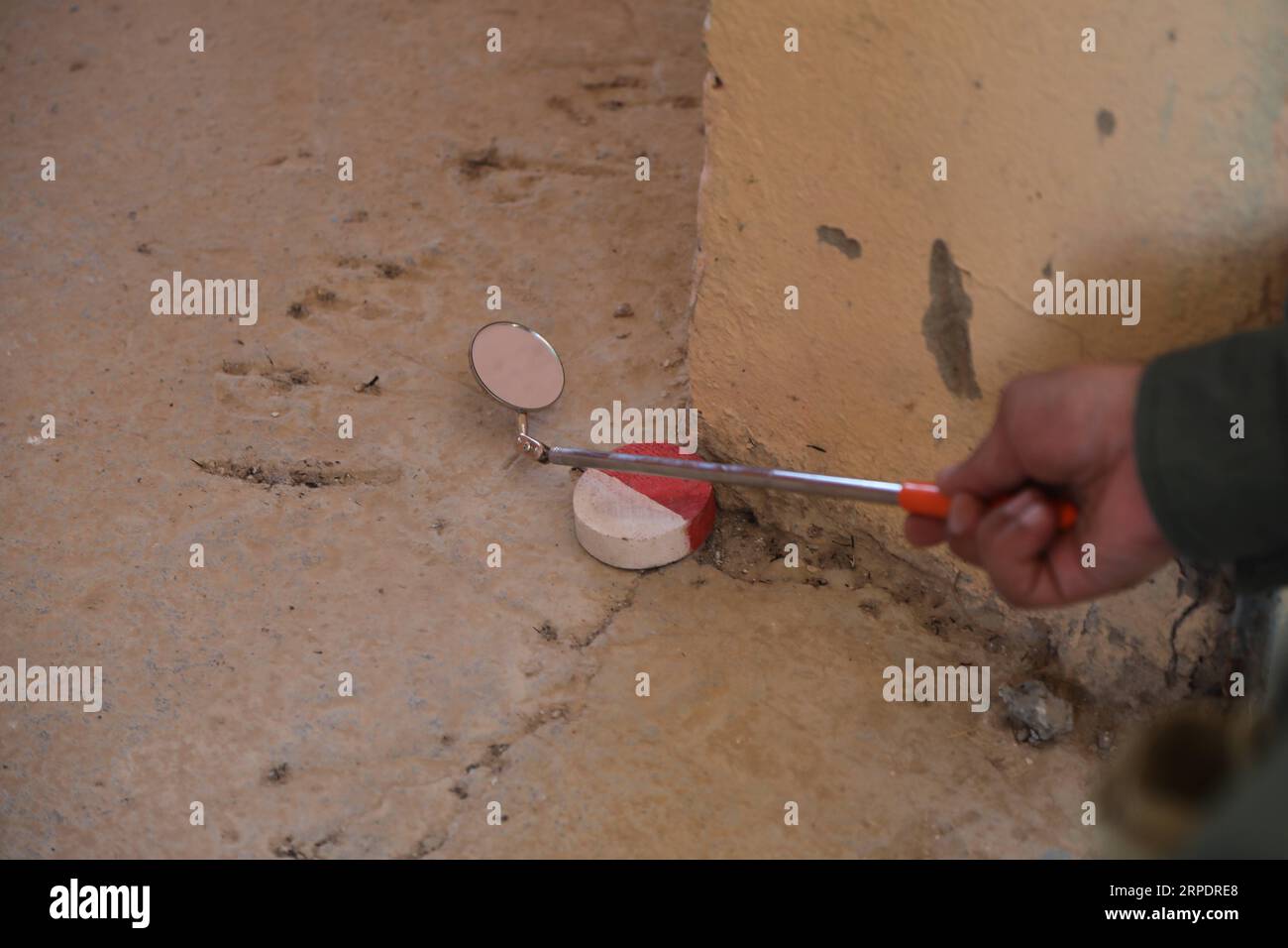 (190810) -- SINJAR (IRAK), 10 août 2019 (Xinhua) -- une photo prise le 4 juillet 2019 montre un chercheur explorant les angles morts avec un miroir pour dégager les dangers explosifs d'une école aux abords de Sinjar, en Irak. Après cinq ans d’atrocités massives commises contre la minorité yézidie par des militants de l’État islamique (EI) dans la région du Sinjar, les restes explosifs de la guerre anti-EI constituent toujours une menace pour la vie des civils dans la région. (Xinhua/Khalil Dawood) POUR ALLER AVEC : 5 ans après les atrocités DE L'EI, de jeunes Yézidis font équipe pour éliminer les dangers explosifs dans le nord de l'Irak Irak IRAQ-SINJAR-YÉZIDI ÉQUIPE-PUB DE DÉMINAGE Banque D'Images