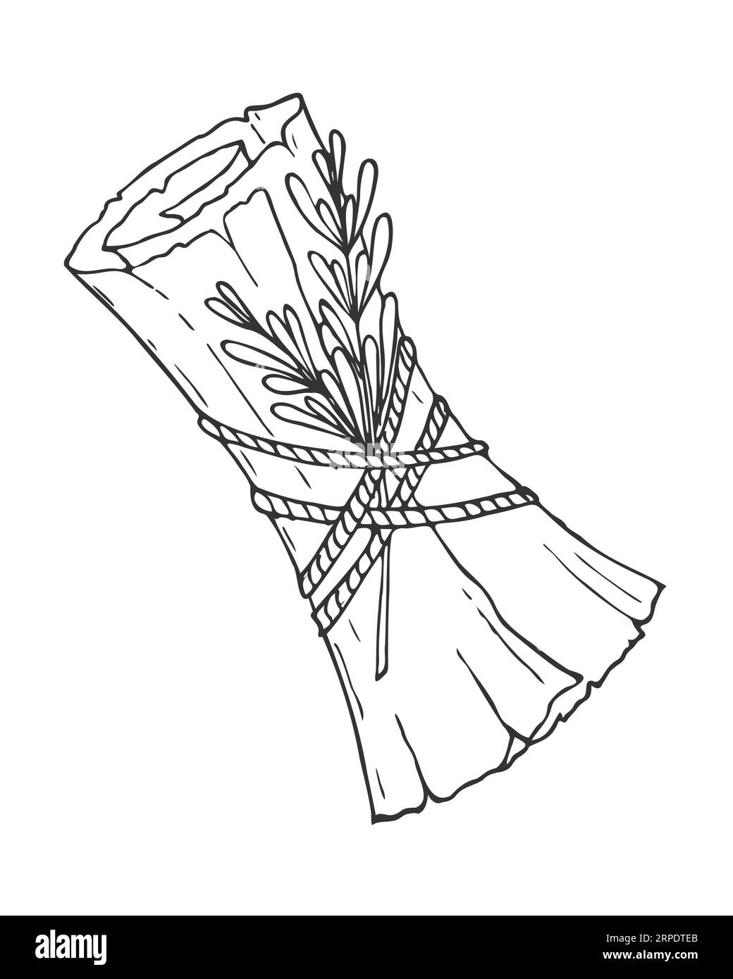 Scroll avec branche de romarin attaché avec corde, sorcellerie, conspirations, sorts, attribut halloween, doodle dessiné à la main, défilement avec texture de bord déchiré Illustration de Vecteur