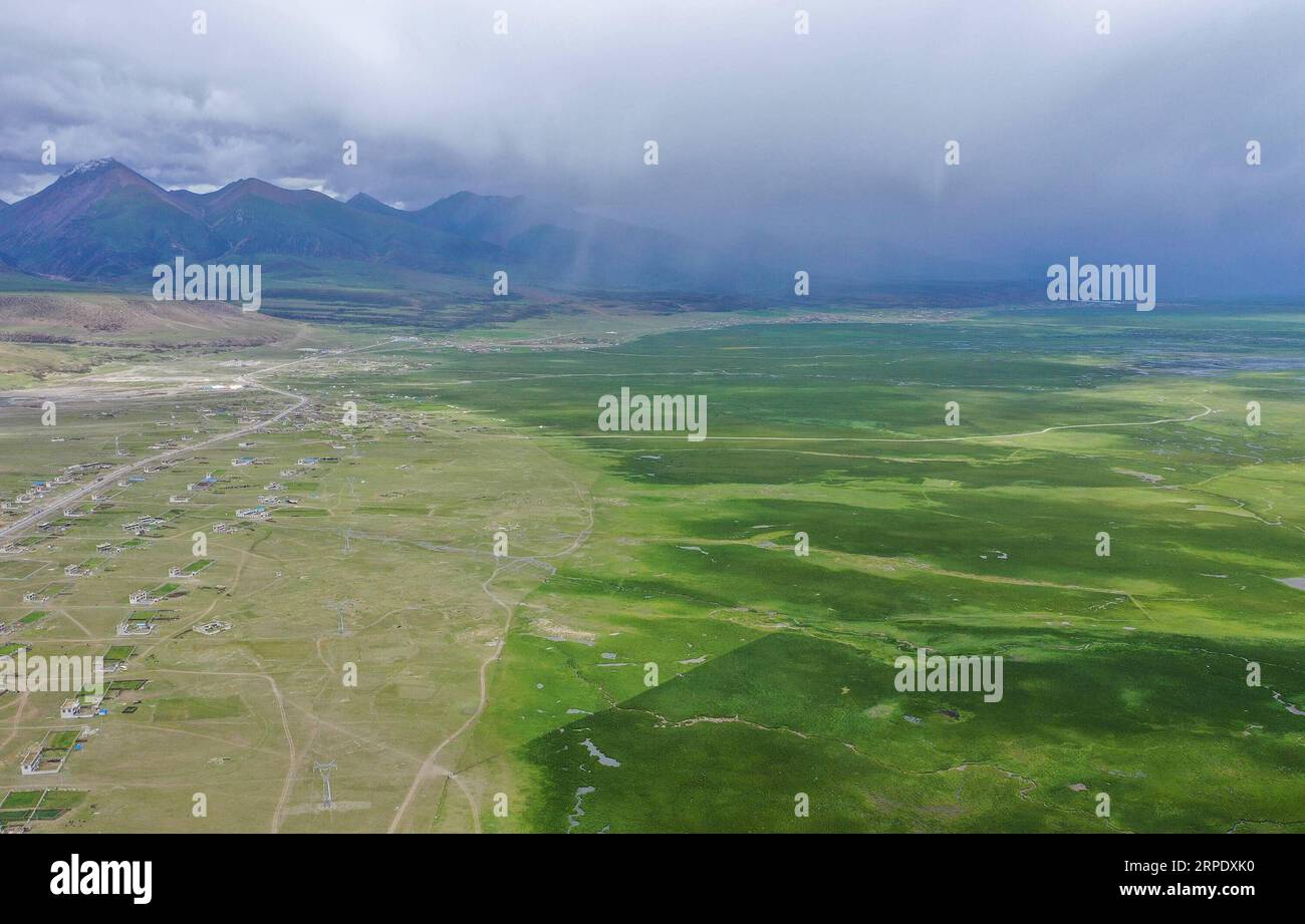 (190814) -- LHASSA, 14 août 2019 -- une photo aérienne prise le 9 août 2019 montre une prairie dans le comté de Damxung, dans la région autonome du Tibet du sud-ouest de la Chine. Dans les pâturages des hautes terres du comté de Damxung, dans le nord de la région autonome du Tibet, la saison des pluies arrive en été avec de l’eau et de l’herbe abondantes pour nourrir le bétail. La région est un producteur et exportateur clé de produits laitiers et de viande, qui génèrent une source vitale de revenus pour les habitants. Purbu Zhaxi) CHINA-TIBET-DAMXUNG-PASTURE (CN) PuxBuzhaxi PUBLICATIONxNOTxINxCHN Banque D'Images