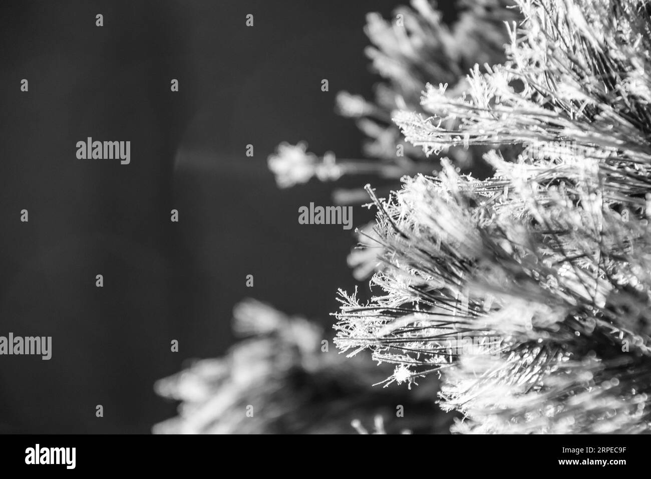 Gros plan d'aiguilles de pin sur un sapin de Noël artificiel avec effet bokeh. Banque D'Images