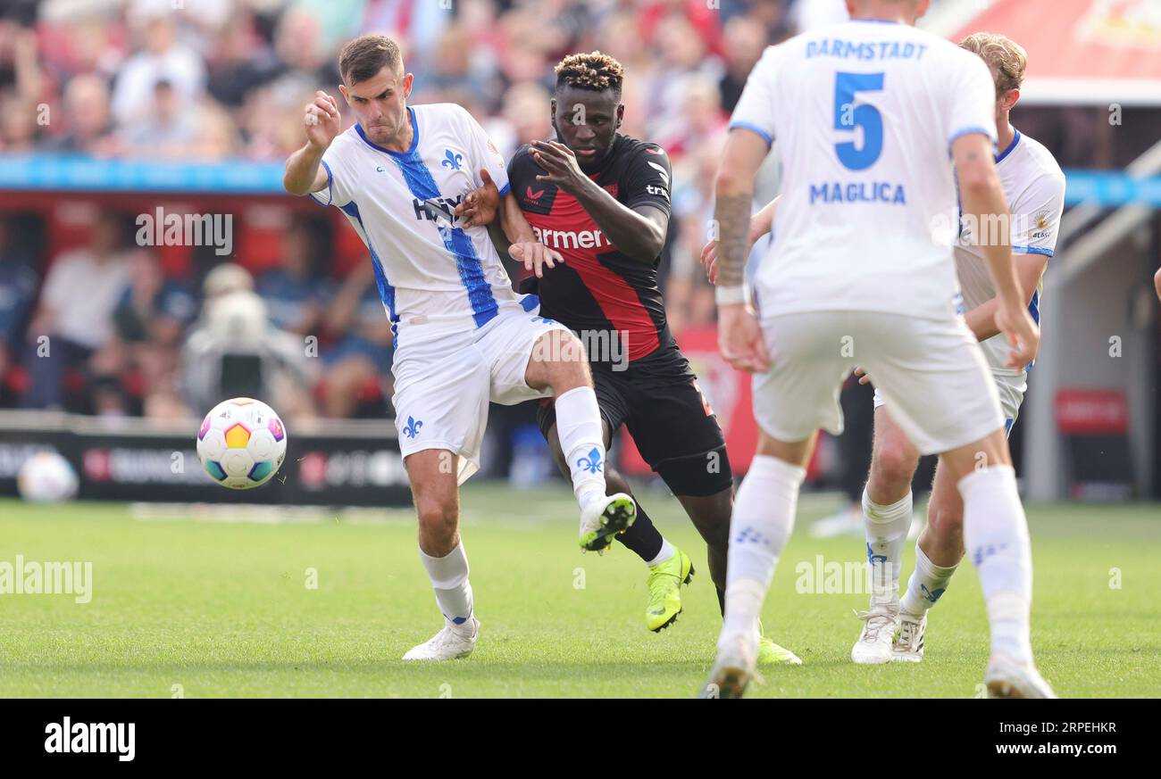 Leverkusen, Deutschland. 02 septembre 2023. Firo : 02.09.2023 1.Bundesliga première division saison 2023/24 Bayer 04 Leverkusen -Darmstadt 98 duels Victor Boniface Bayer crédit : dpa/Alamy Live News Banque D'Images