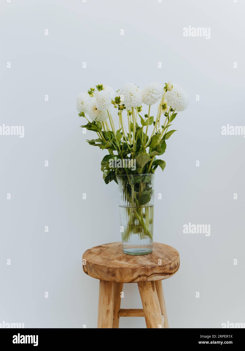 Bouquet de fleurs de dahlia blanc dans un vase en verre sur un tabouret vintage en bois contre le mur blanc. Vue avant. Espace de copie Banque D'Images