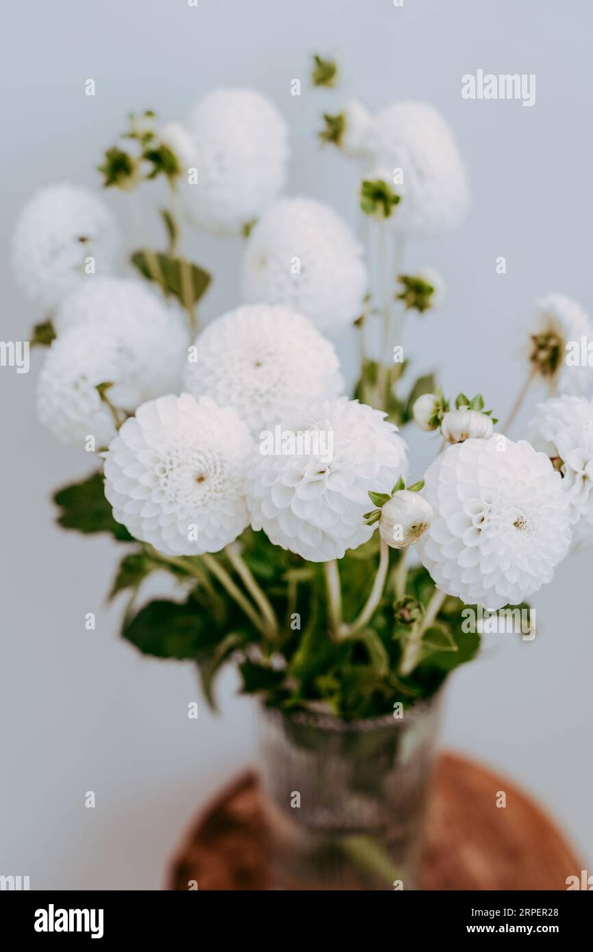 Bouquet de fleurs de dahlia blanc dans un vase en verre sur un tabouret vintage en bois contre le mur blanc. Vue avant. Espace de copie Banque D'Images