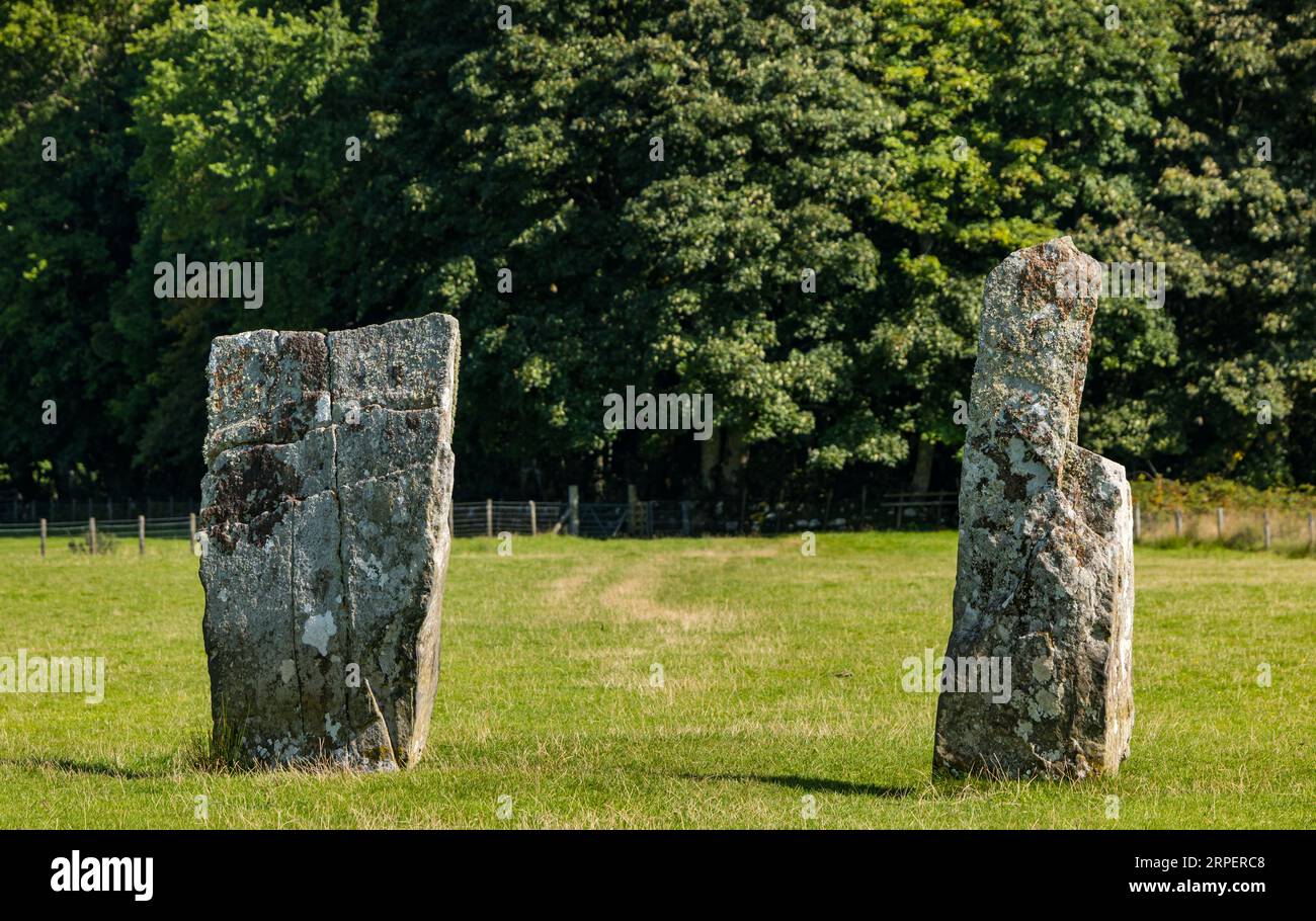 Nether Largie Standing Stones Ancient monument dans le champ d'herbe, Kilmartin Glen, Argyll, Écosse, Royaume-Uni Banque D'Images