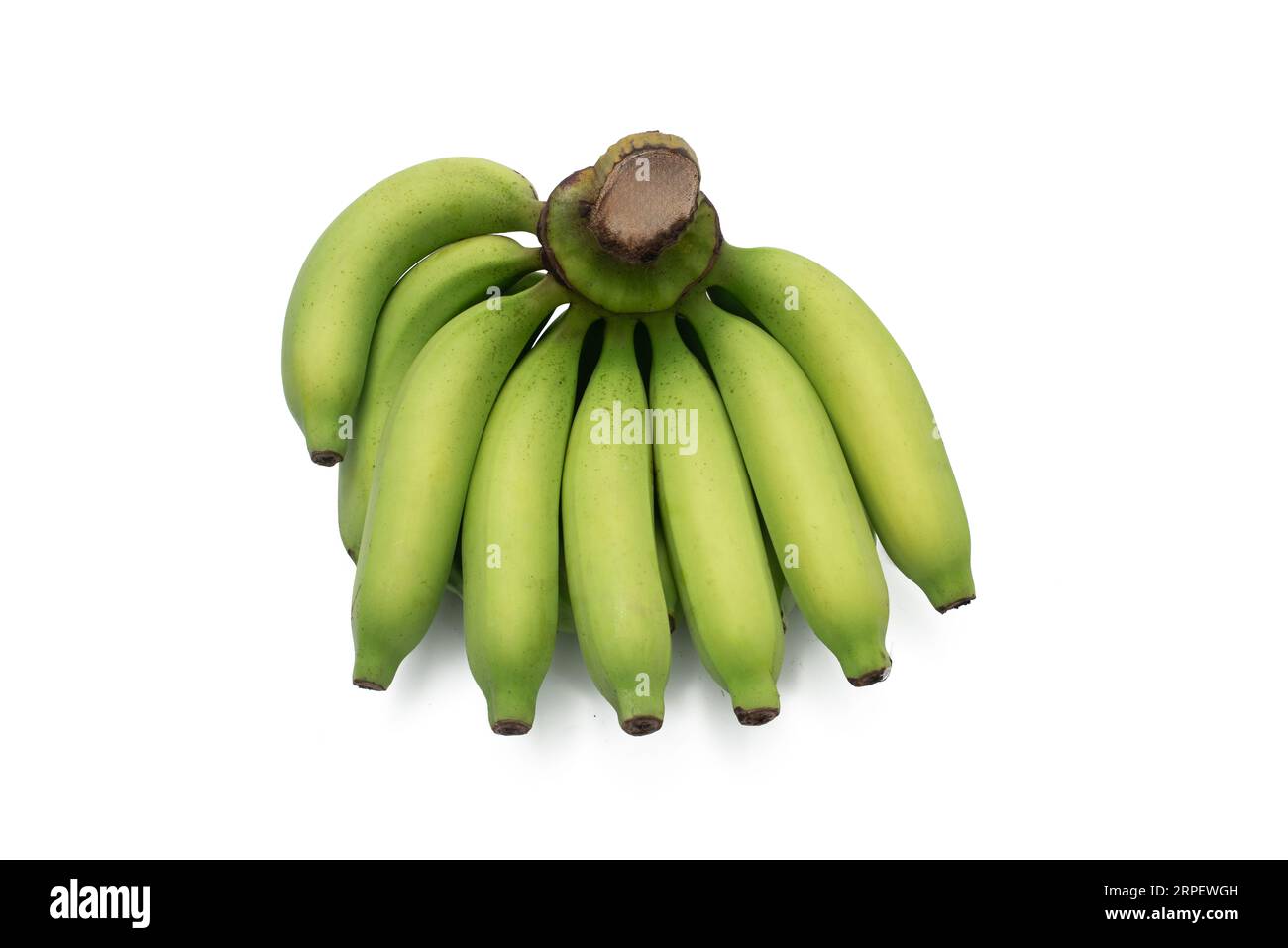 Un bouquet frais de bananes vertes sur une surface blanche Banque D'Images