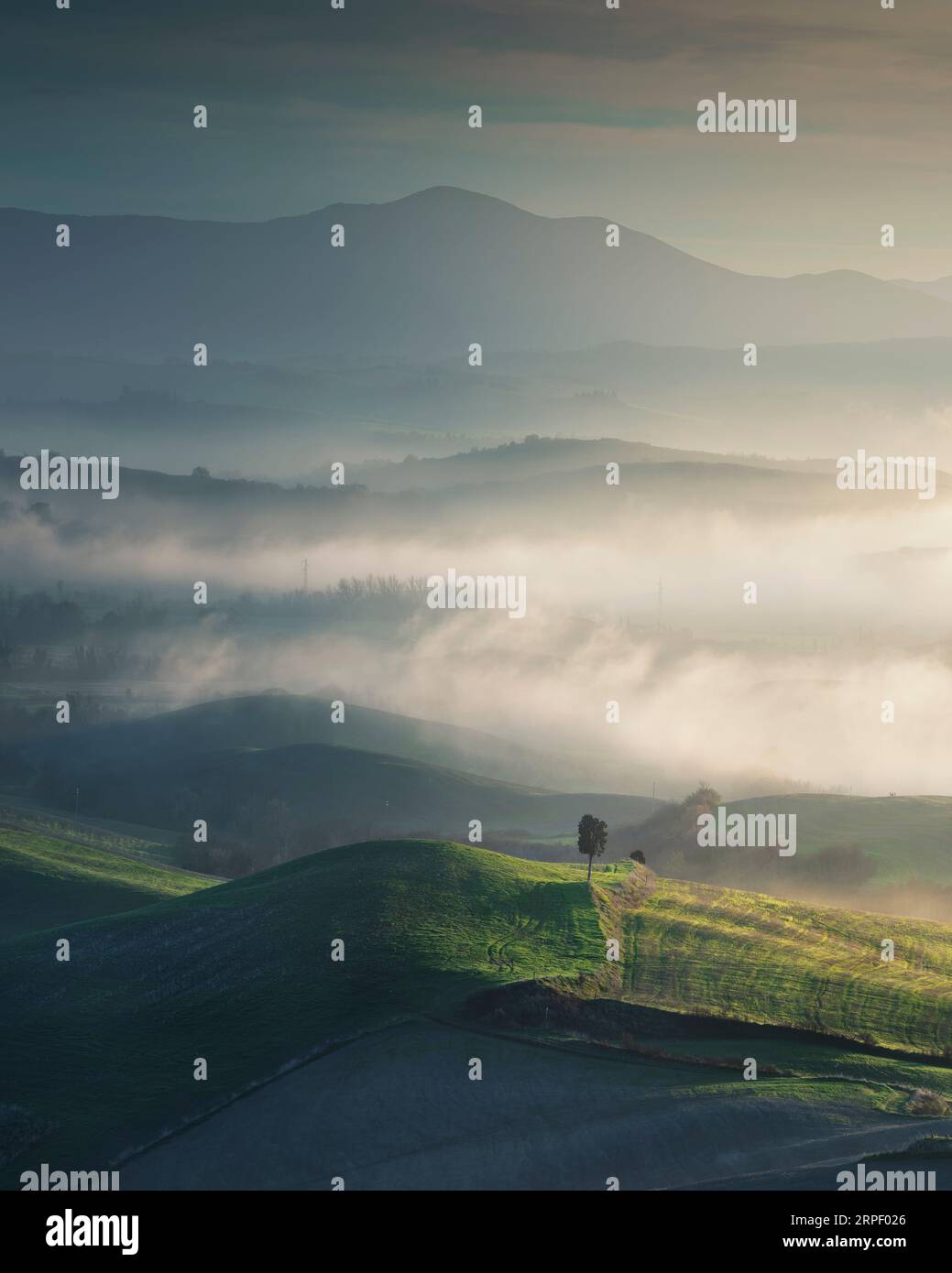 Paysage brumeux à Volterra au coucher du soleil. Arbre solitaire, collines ondulantes couches en arrière-plan. Val di Cecina, région Toscane, Italie, Europe Banque D'Images