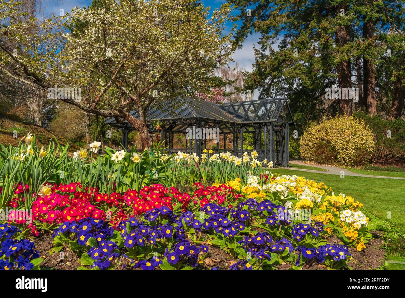 Les jardins botaniques de Government House à Victoria, Île de Vancouver, Colombie-Britannique, Canada. Banque D'Images