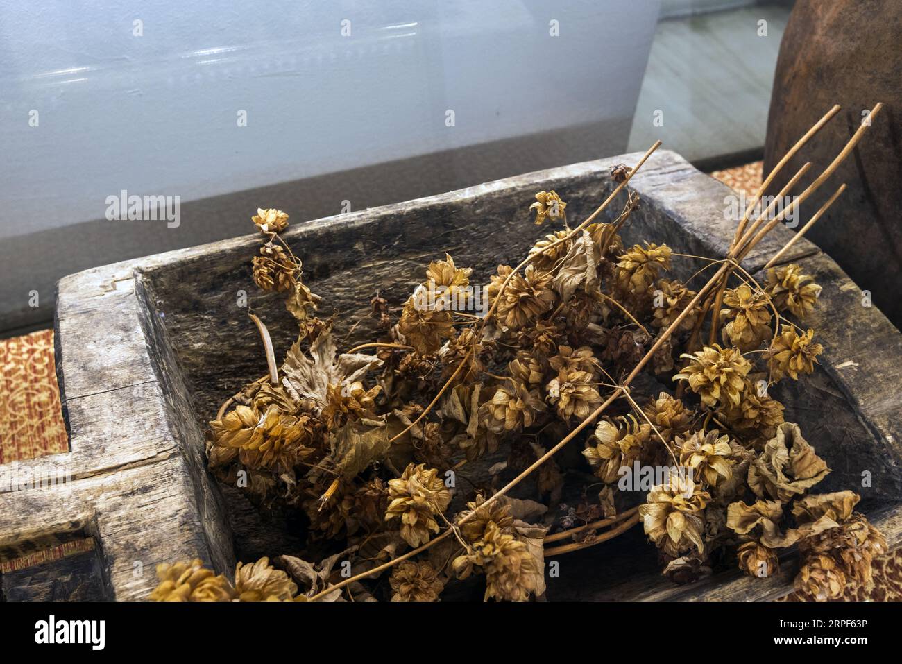 Les fleurs de houblon séchées reposent dans un plateau en bois, photo en  gros plan Photo Stock - Alamy