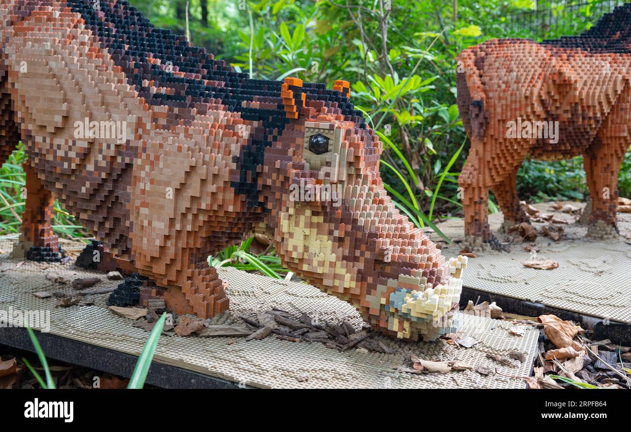 Zoo Planckendael, Malines, Belgique - 29 août 2023 : Safari en briques et Animal Expo construits avec des briques Lego. Warthogs. Banque D'Images