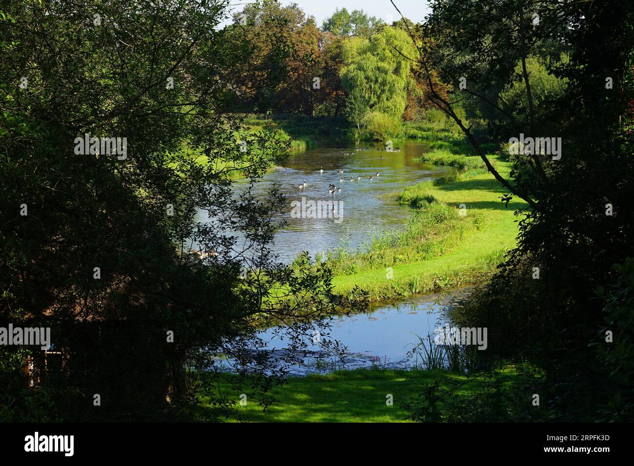 Une vue de la rivière Test près de Chilbolton Banque D'Images