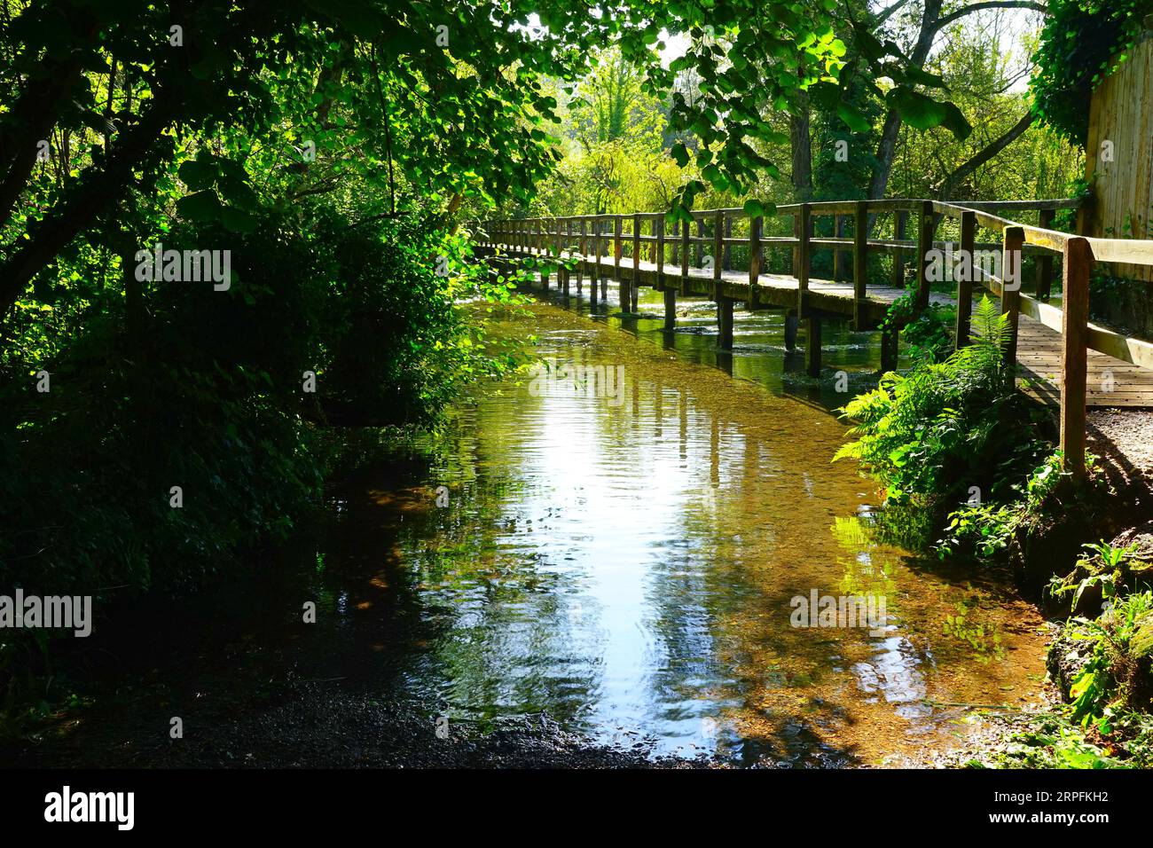 Passerelle au-dessus du Test menant de Wherwell à Chilbolton Cow Common Banque D'Images
