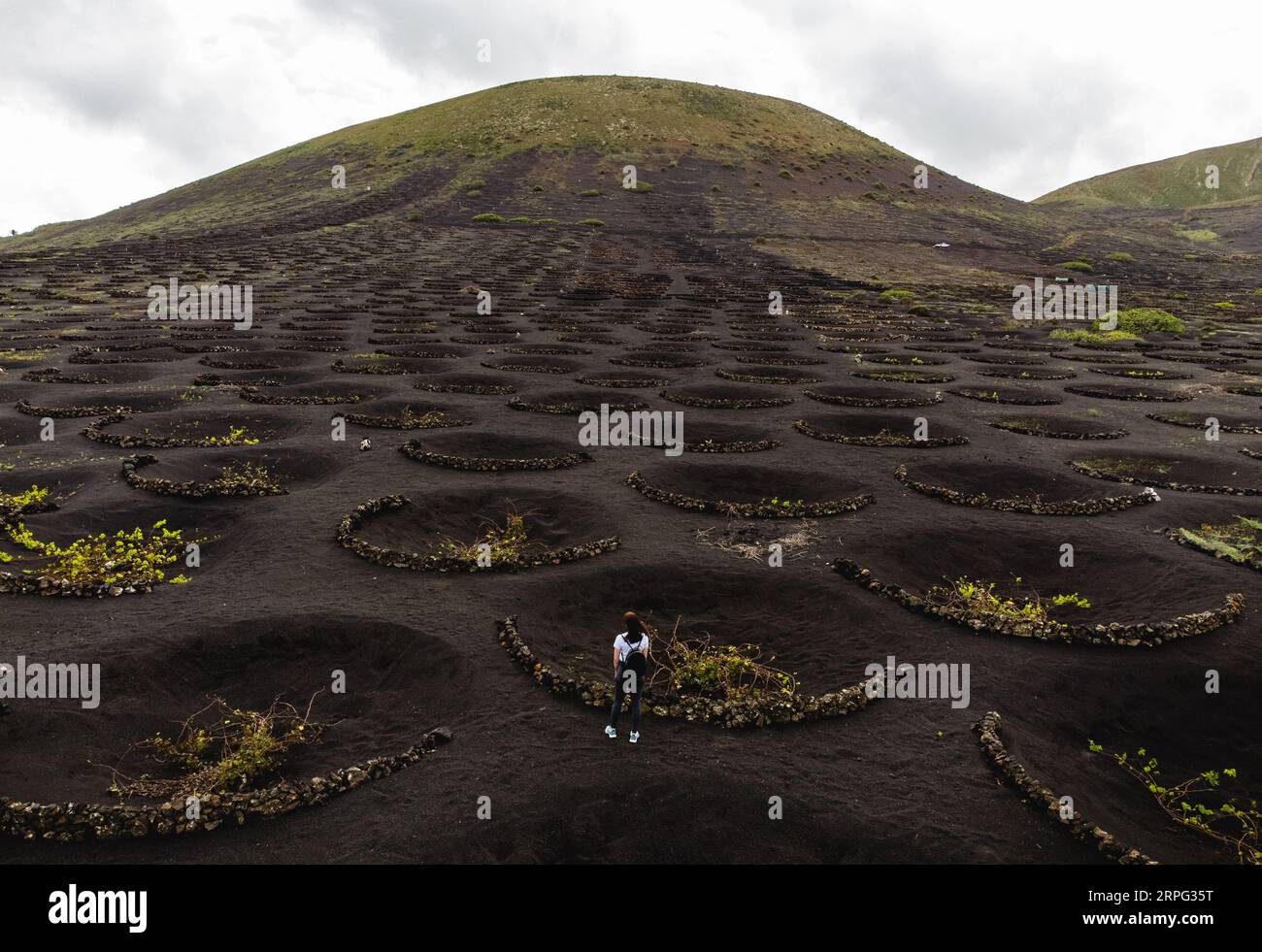 Vignoble volcanique de la région de la Geria à Lanzarote - Îles Canaries avec des collines et femme turist sur fond. Banque D'Images