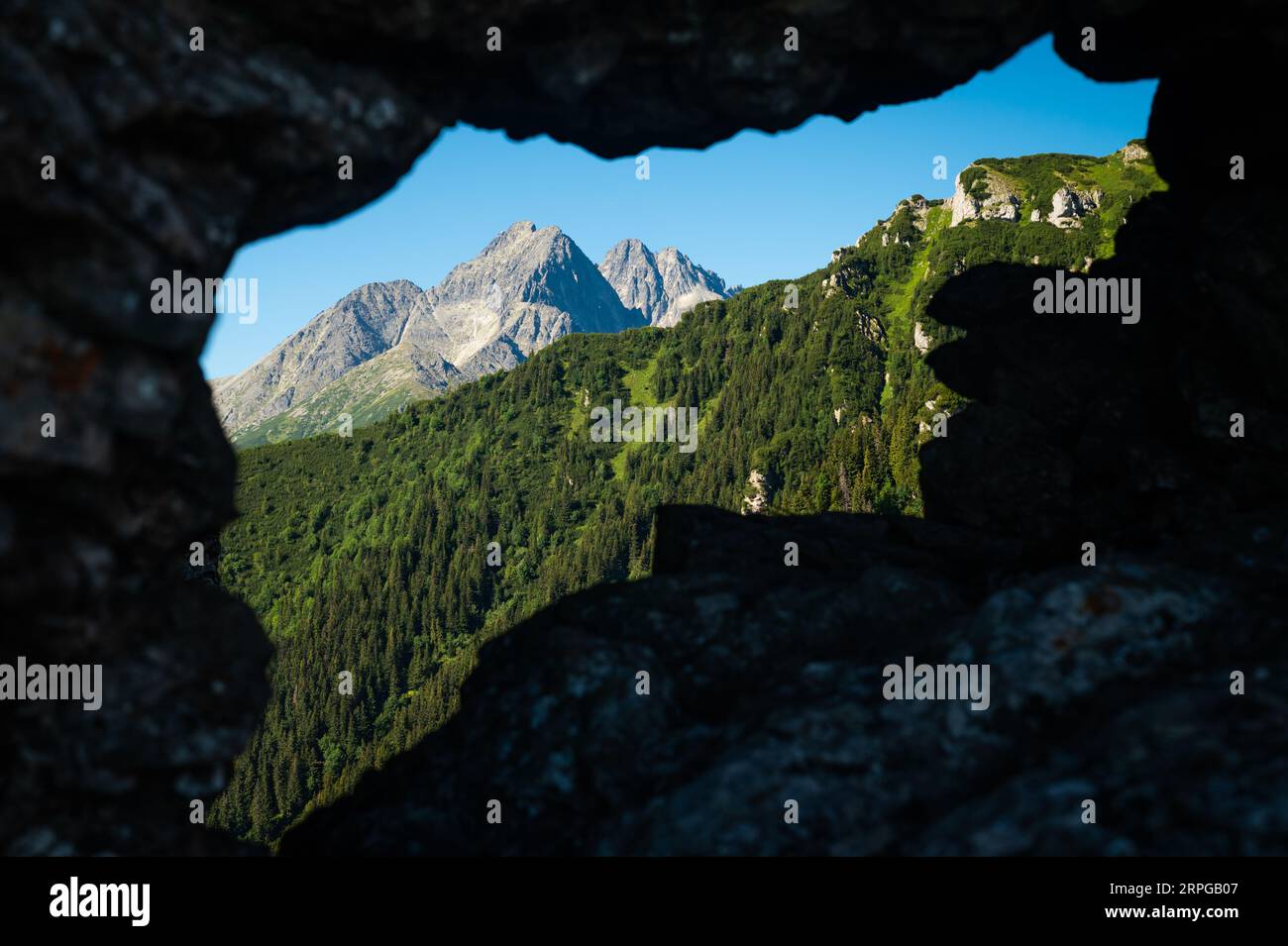 Le tapis émeraude des bois de conifères s'étend à perte de vue, une scène tranquille sous la grandeur imposante des Hautes Tatras Banque D'Images