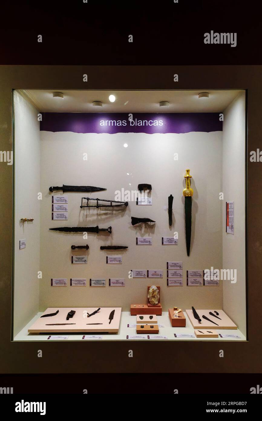 Niche avec verre stockant les armes blanches de la nécropole celtibère, âge du fer, Musée provincial de Guadalajara dans le Palacio del Infantado. Banque D'Images