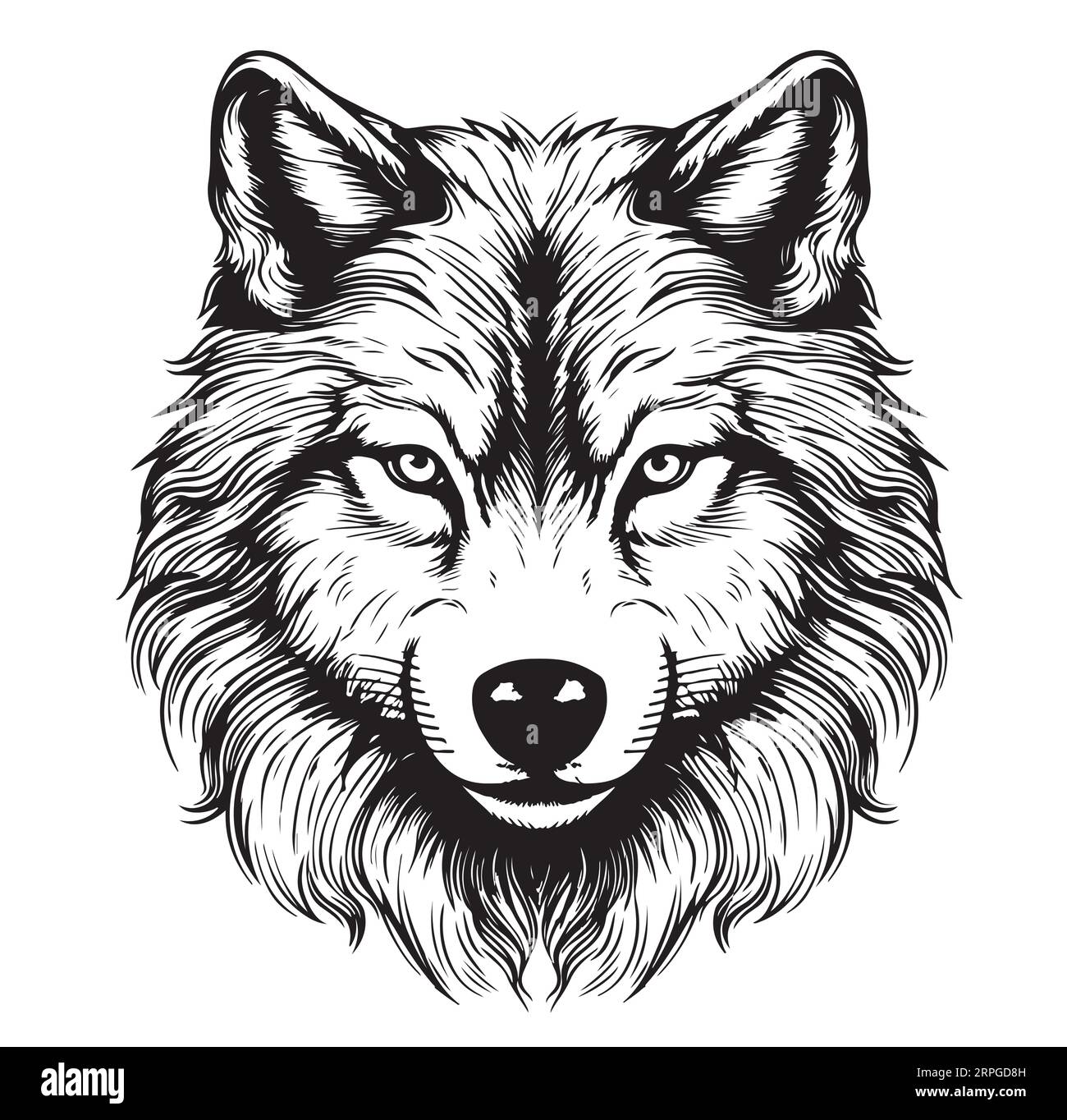 Tête de loup esquisse réaliste dessinée à la main Vector animaux sauvages Illustration de Vecteur