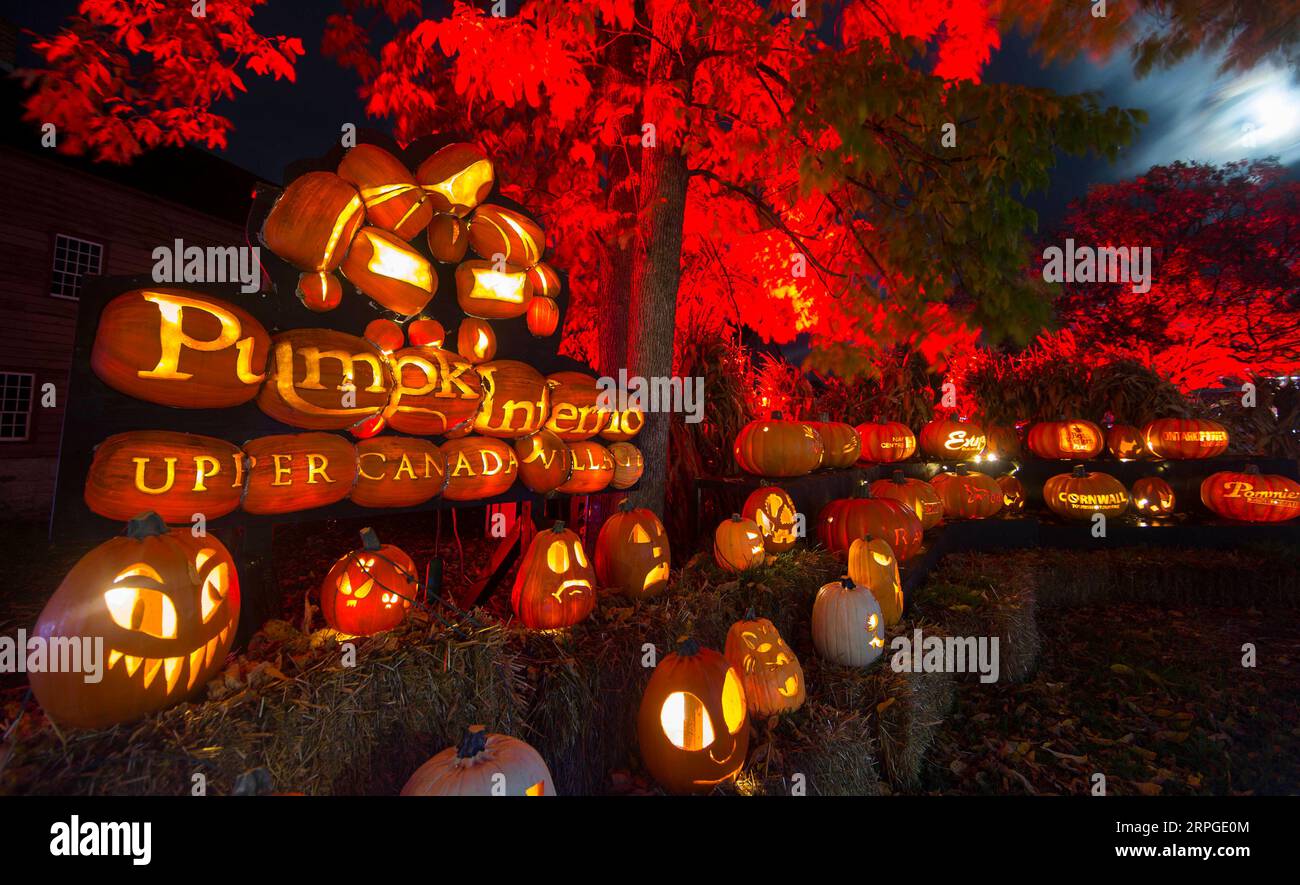 191013 -- MORRISBURG, le 13 octobre 2019 -- des sculptures artisanales de citrouille ont été vues pendant le Pumpkinferno 2019 à Upper Canada Village à Morrisburg, Ontario, Canada, le 12 octobre 2019. Photo de Zou Zheng/Xinhua CANADA-ONTARIO-MORRISBURG-PUMPKINFERNO ZouxZhuo PUBLICATIONxNOTxINxCHN Banque D'Images