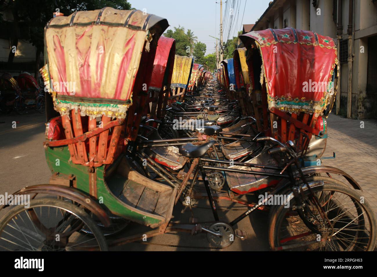 Rickshaws en rangée à Dhaka, Bangladesh. Banque D'Images