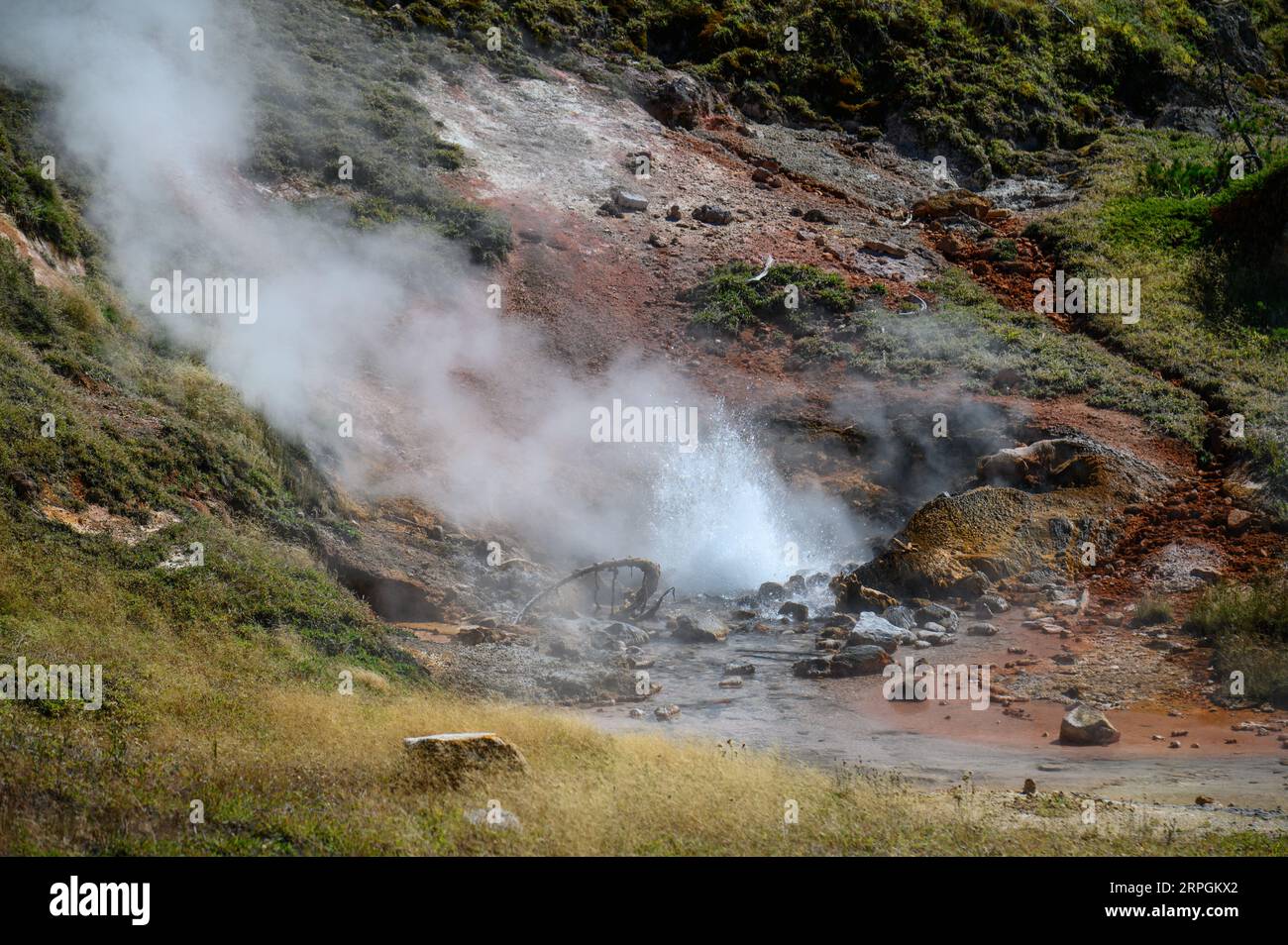 Les artistes peignent Pot Springs dans le parc national de Yellowstone Banque D'Images