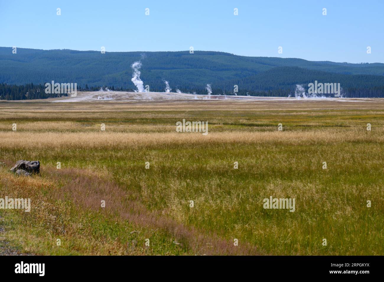 Piscines géothermiques dans les Geyser Basins du parc national de Yellowstone Banque D'Images