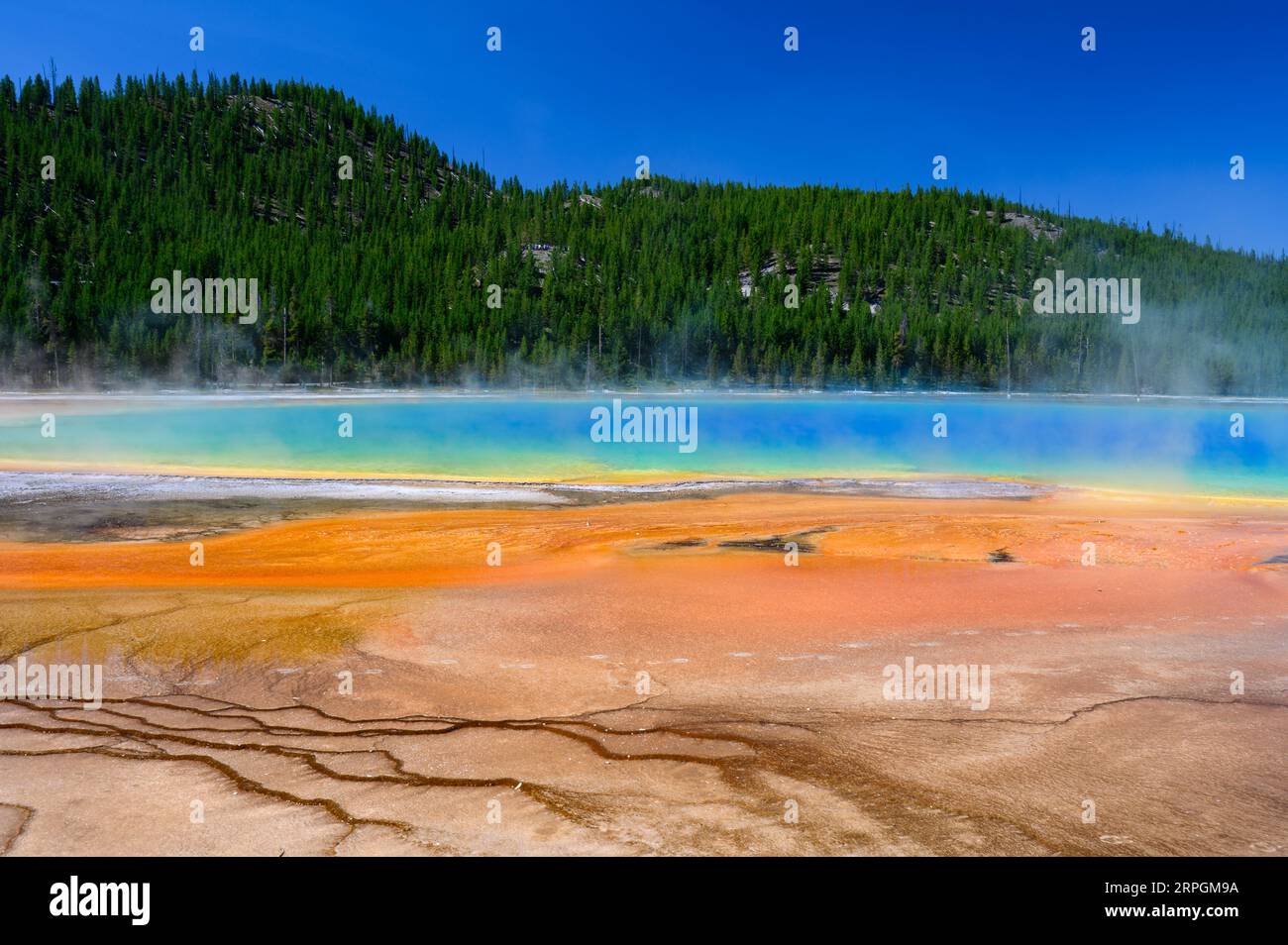 Les couleurs vives de Grand Prismatic Spring dans le parc national de Yellowstone, États-Unis Banque D'Images