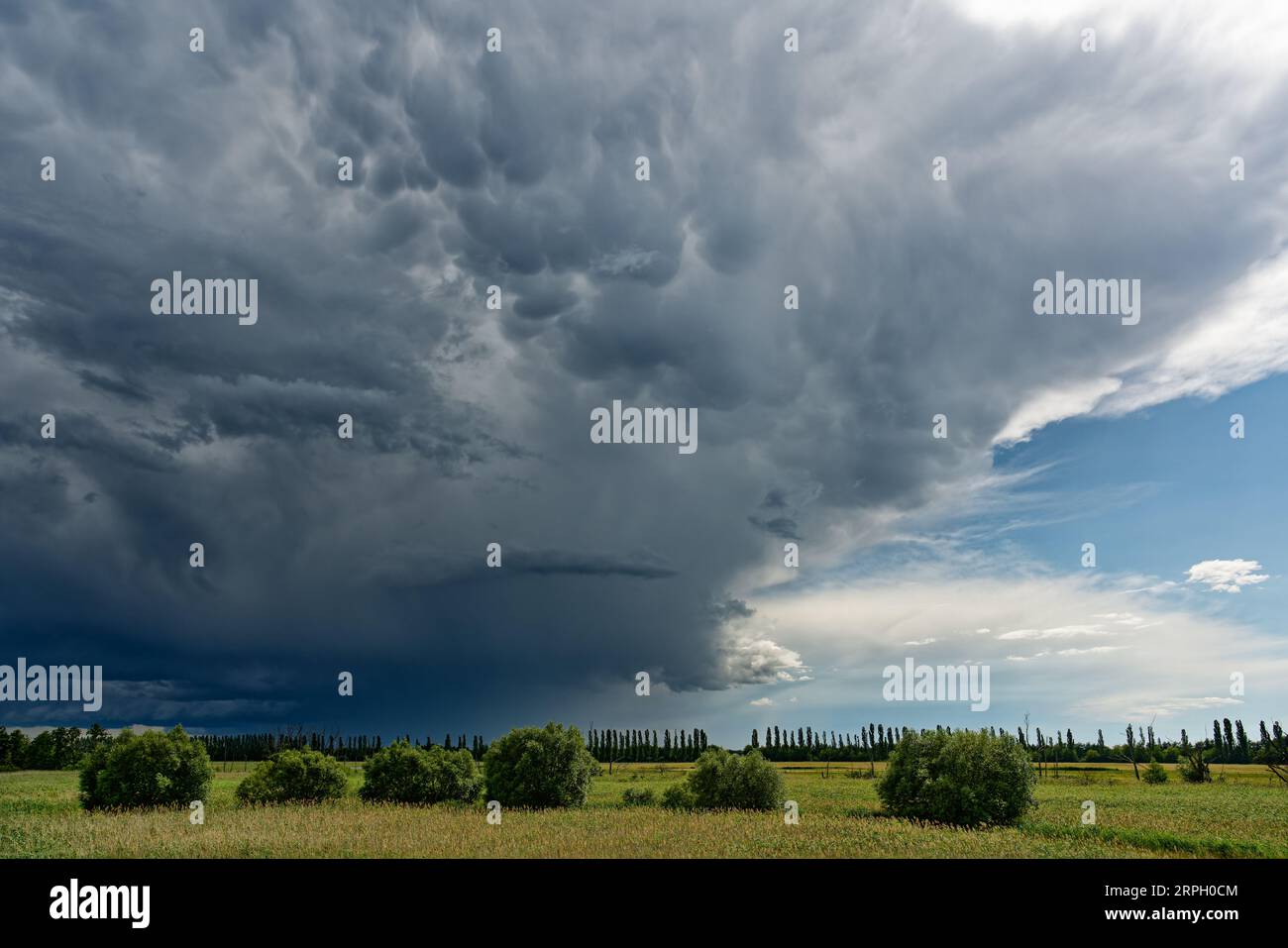 Violent front d'orage avec formation de nuages menaçants, où des nuages de mammatus se sont formés et d'où la pluie tombe en partie, sur un plat Banque D'Images