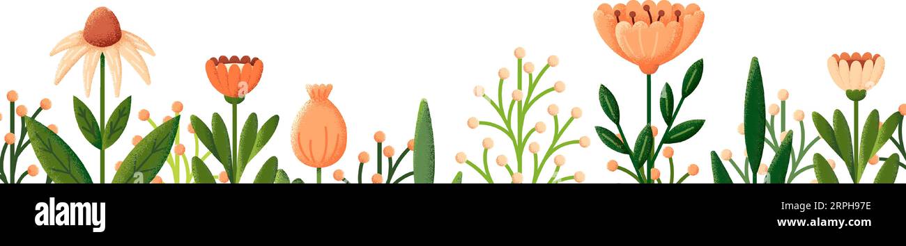 Bordure horizontale des fleurs en croissance dans un style texturé tendance Illustration de Vecteur