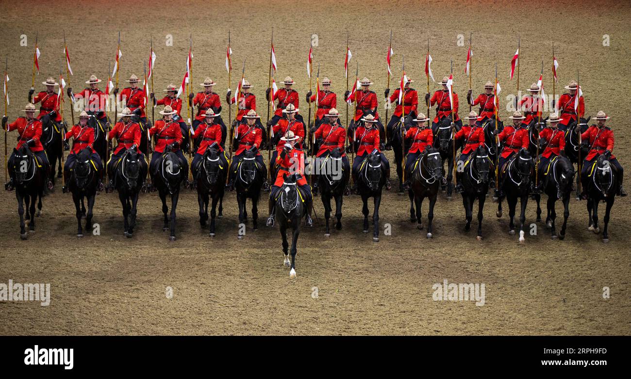 191102 -- TORONTO, le 2 nov. 2019 -- des membres de la Gendarmerie royale du Canada (GRC) se produisent lors du carrousel de la GRC à la Royal Agricultural Winter Fair 2019 à Toronto, Canada, le 2 nov. 2019. Photo de /Xinhua CANADA-TORONTO-GRC COMÉDIE MUSICALE ZouxZheng PUBLICATIONxNOTxINxCHN Banque D'Images