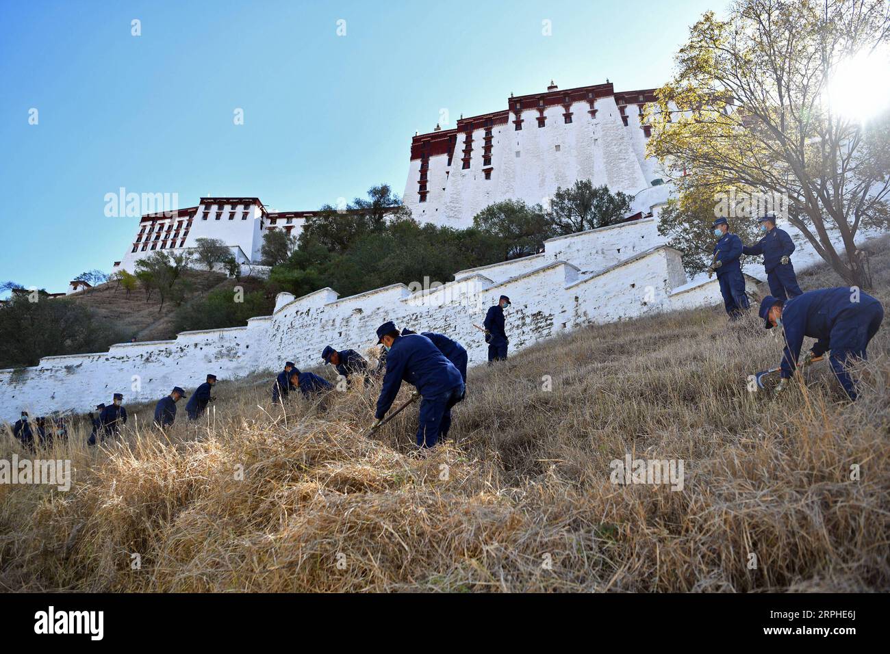 191106 -- LHASSA, 6 novembre 2019 -- les pompiers retirent les mauvaises herbes des environs du palais du Potala pour la prévention des incendies hivernaux à Lhassa, capitale de la région autonome du Tibet du sud-ouest de la Chine, 6 novembre 2019. Le palais vieux de 1 300 ans a été construit par le roi tibétain Songtsa Gambo au VIIe siècle. Le palais a été inscrit sur la liste du patrimoine mondial de l'UNESCO en 1994. CHINE-TIBET-LHASSA-POTALA PALAIS-PRÉVENTION DES INCENDIES CN LIXXIN PUBLICATIONXNOTXINXCHN Banque D'Images