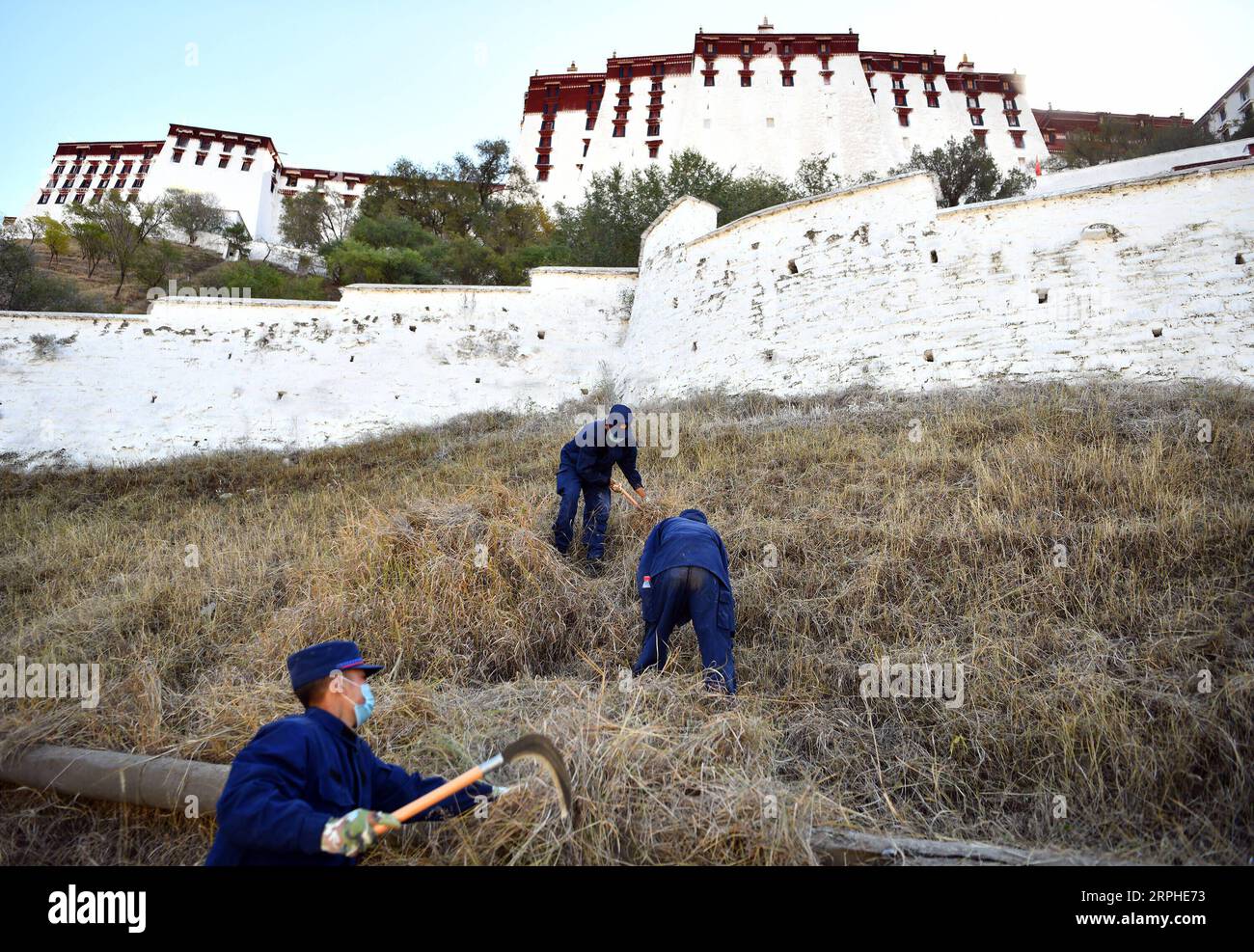 191106 -- LHASSA, 6 novembre 2019 -- les pompiers retirent les mauvaises herbes des environs du palais du Potala pour la prévention des incendies hivernaux à Lhassa, capitale de la région autonome du Tibet du sud-ouest de la Chine, 6 novembre 2019. Le palais vieux de 1 300 ans a été construit par le roi tibétain Songtsa Gambo au VIIe siècle. Le palais a été inscrit sur la liste du patrimoine mondial de l'UNESCO en 1994. CHINE-TIBET-LHASSA-POTALA PALAIS-PRÉVENTION DES INCENDIES CN LIXXIN PUBLICATIONXNOTXINXCHN Banque D'Images