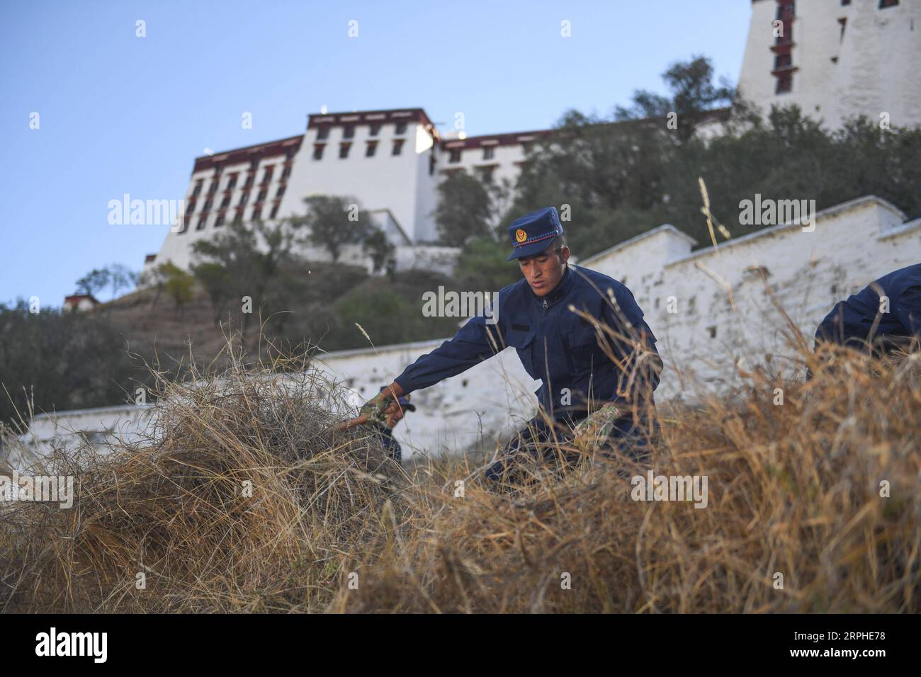 191106 -- LHASSA, 6 novembre 2019 -- Un pompier enlève les mauvaises herbes des environs du palais du Potala pour la prévention des incendies hivernaux à Lhassa, capitale de la région autonome du Tibet du sud-ouest de la Chine, 6 novembre 2019. Le palais vieux de 1 300 ans a été construit par le roi tibétain Songtsa Gambo au VIIe siècle. Le palais a été inscrit sur la liste du patrimoine mondial de l'UNESCO en 1994. CHINE-TIBET-PALAIS DE LHASSA-POTALA-PRÉVENTION DES INCENDIES CN JIGMEXDORGI PUBLICATIONXNOTXINXCHN Banque D'Images