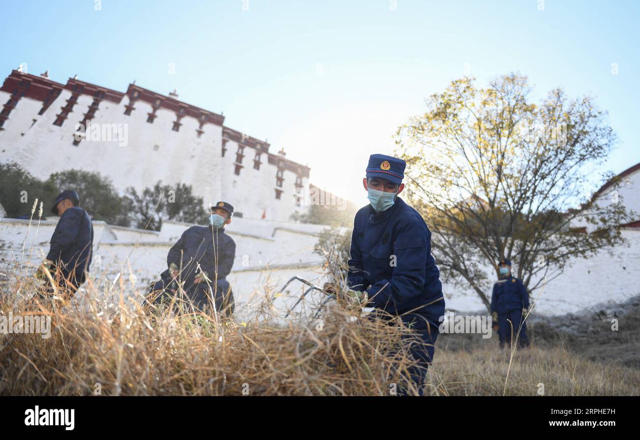 191106 -- LHASSA, 6 novembre 2019 -- les pompiers retirent les mauvaises herbes des environs du palais du Potala pour la prévention des incendies hivernaux à Lhassa, capitale de la région autonome du Tibet du sud-ouest de la Chine, 6 novembre 2019. Le palais vieux de 1 300 ans a été construit par le roi tibétain Songtsa Gambo au VIIe siècle. Le palais a été inscrit sur la liste du patrimoine mondial de l'UNESCO en 1994. CHINE-TIBET-PALAIS DE LHASSA-POTALA-PRÉVENTION DES INCENDIES CN JIGMEXDORGI PUBLICATIONXNOTXINXCHN Banque D'Images