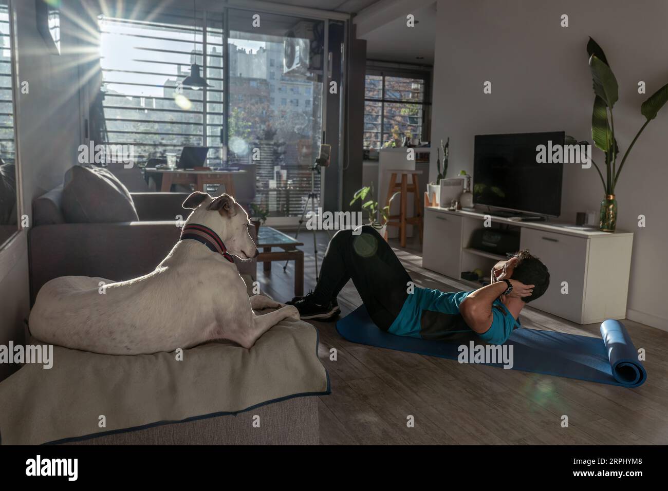 Homme en forme de formation à la maison avec son chien. Environnement éclairé par des rayons du soleil. Banque D'Images