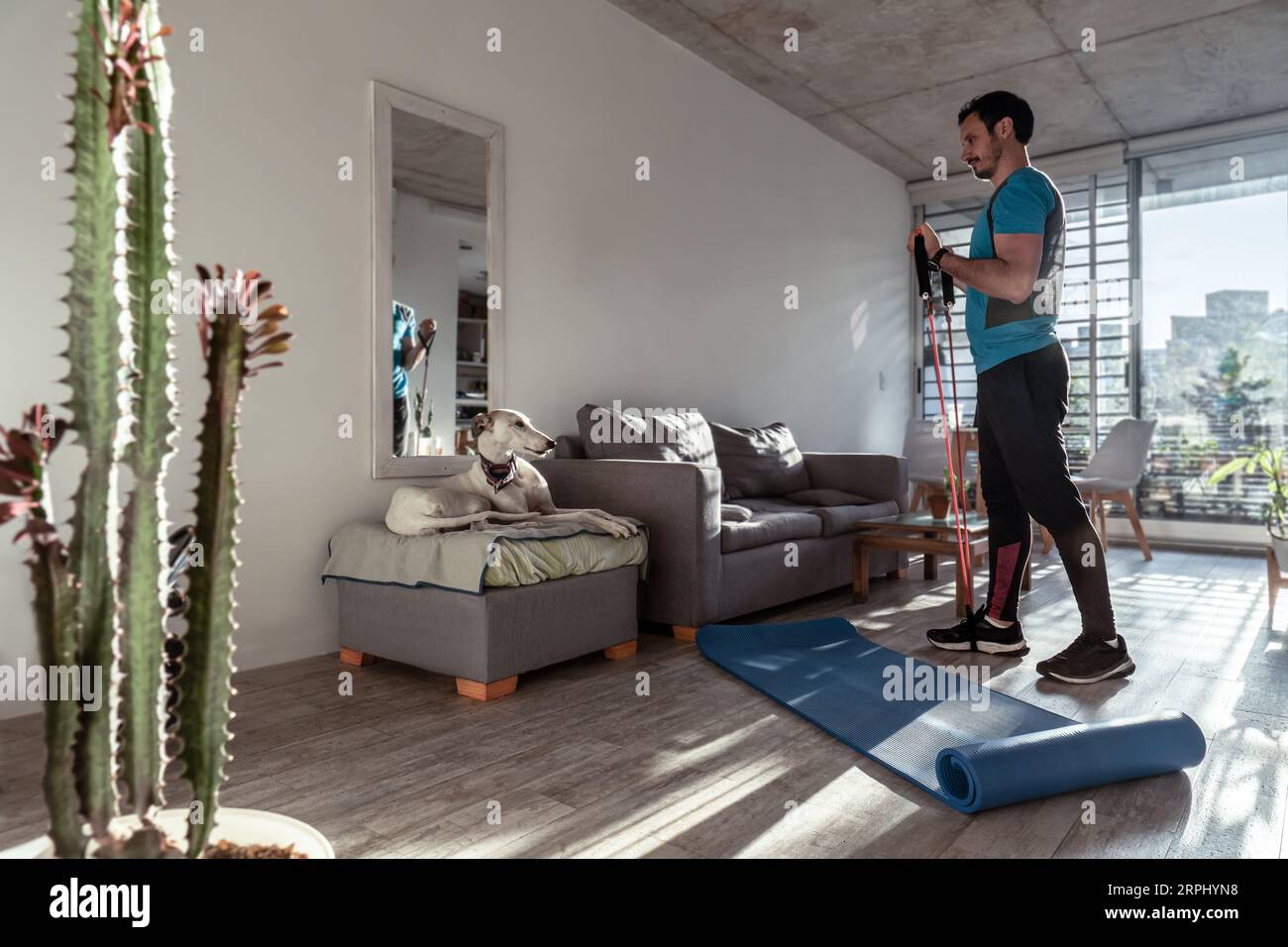 Jeune adulte Latino mâle faisant de l'entraînement sportif à la maison tout en souriant à son animal de compagnie. Banque D'Images