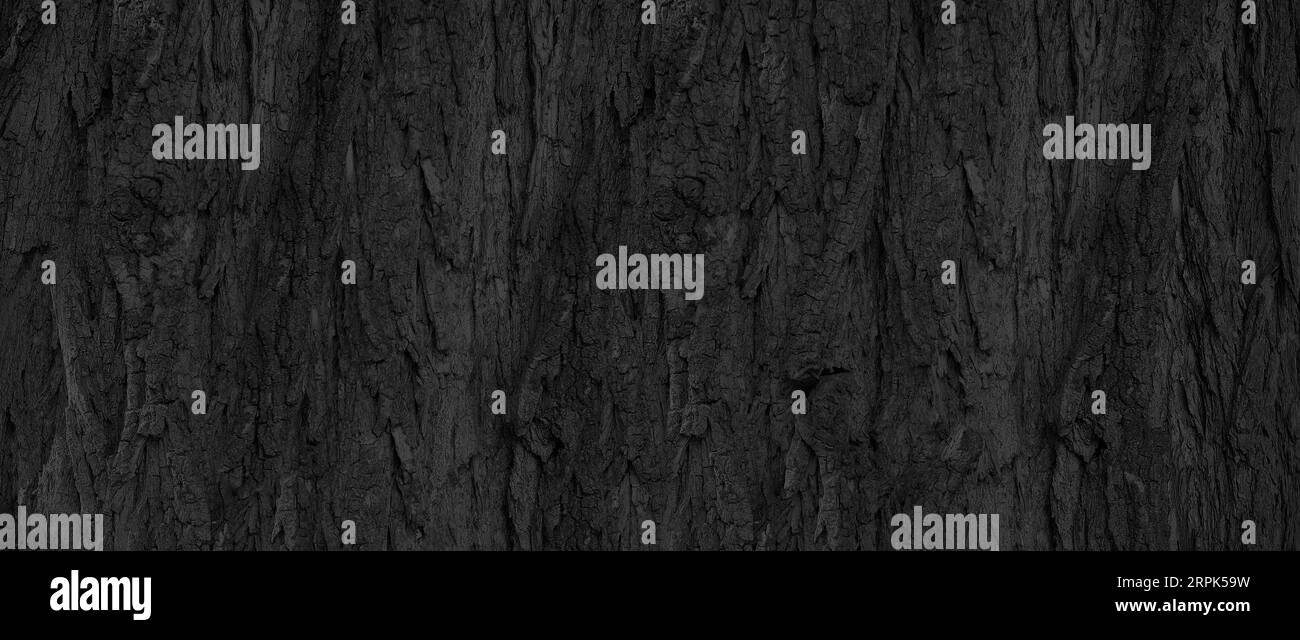 motif d'écorce en bois grossier noir pour le fond Banque D'Images