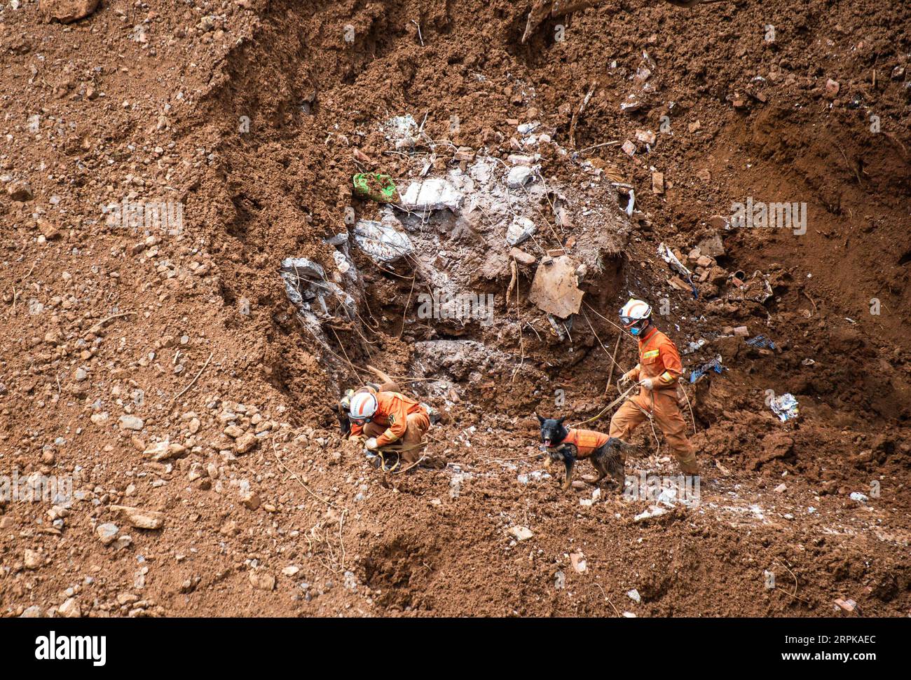 200105 -- PÉKIN, le 5 janvier 2020 -- des sauveteurs et un chien de sauvetage pour les survivants sur le site du glissement de terrain dans le comté de Shuicheng, province du Guizhou, au sud-ouest de la Chine, le 26 juillet 2019. XINHUA-PHOTOS DE L'année 2019 TaoxLiang PUBLICATIONxNOTxINxCHN Banque D'Images