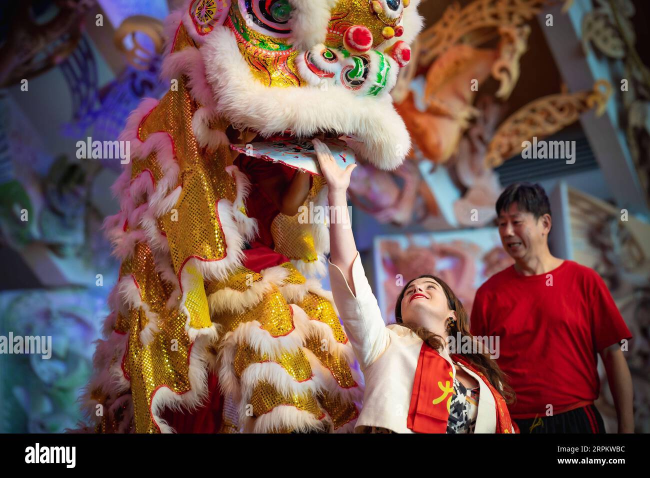 200118 -- WELLINGTON, le 18 janvier 2020 Xinhua -- Une femme interagit avec une danseuse du lion lors du Festival multiculturel pour célébrer le gala du nouvel an chinois au Musée national de Nouvelle-Zélande à Wellington, capitale de la Nouvelle-Zélande, le 18 janvier 2020. Cet événement multiculturel, co-organisé par le Conseil multiculturel de Wellington et le Centre culturel chinois de Wellington, soutenu par le Musée national te Papa et le Centre de développement culturel et artistique Pan Pacific, présente une fusion de chansons et de danses de nombreuses nationalités de Nouvelle-Zélande. Photo de Zhang Jianyong Banque D'Images