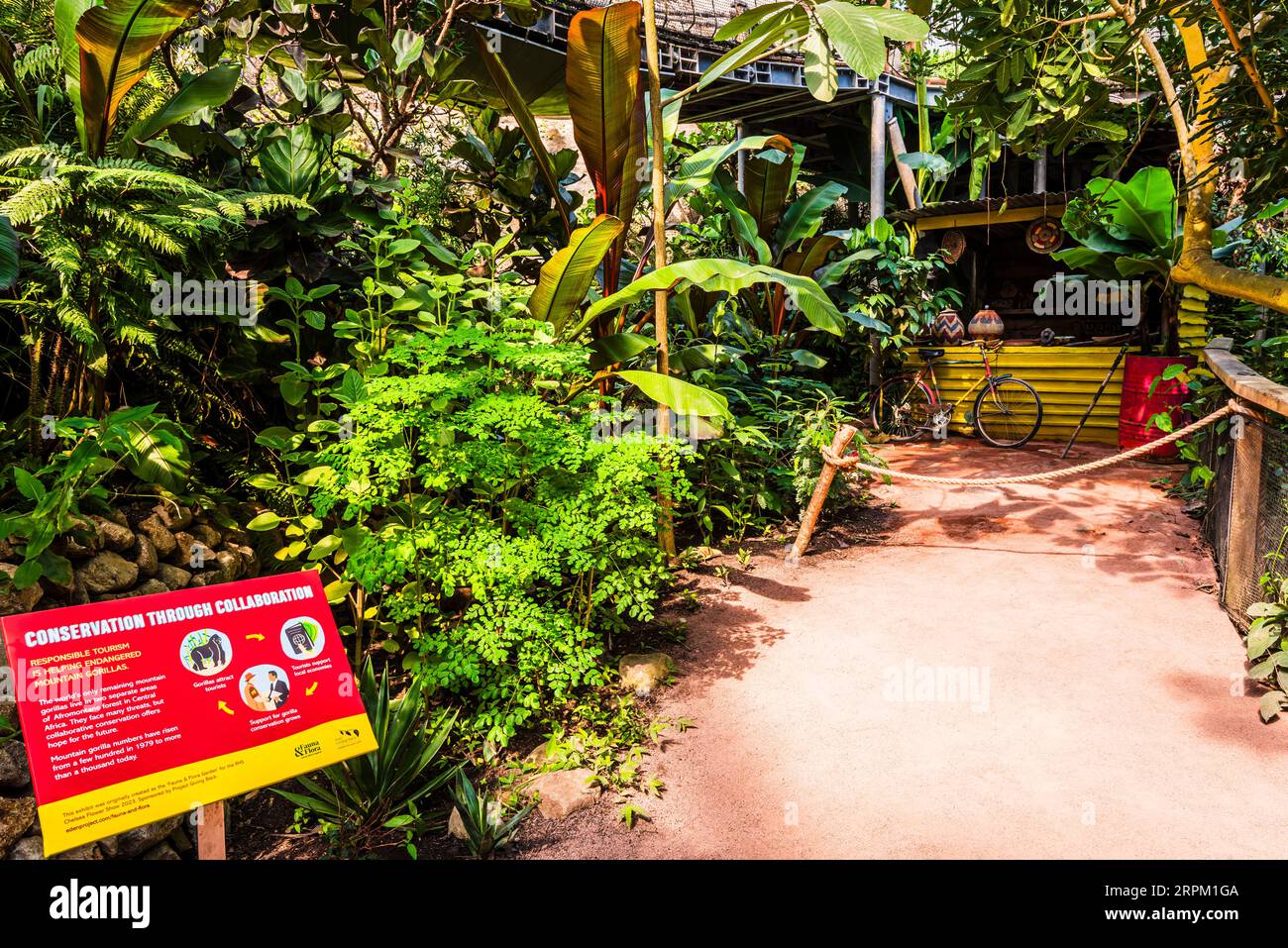 Gros plan du jardin de faune et flore relocalisé du Chelsea Flower Show 2023 à l'Eden Project, St Austell, Cornwall, Royaume-Uni Banque D'Images