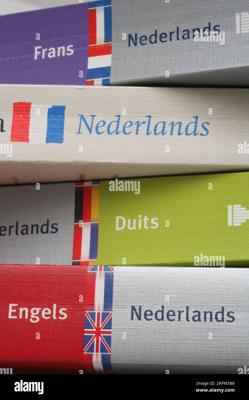 Les dictionnaires étaient indispensables avant que les programmes de traduction numérique ne prennent en charge cette fonction. Banque D'Images
