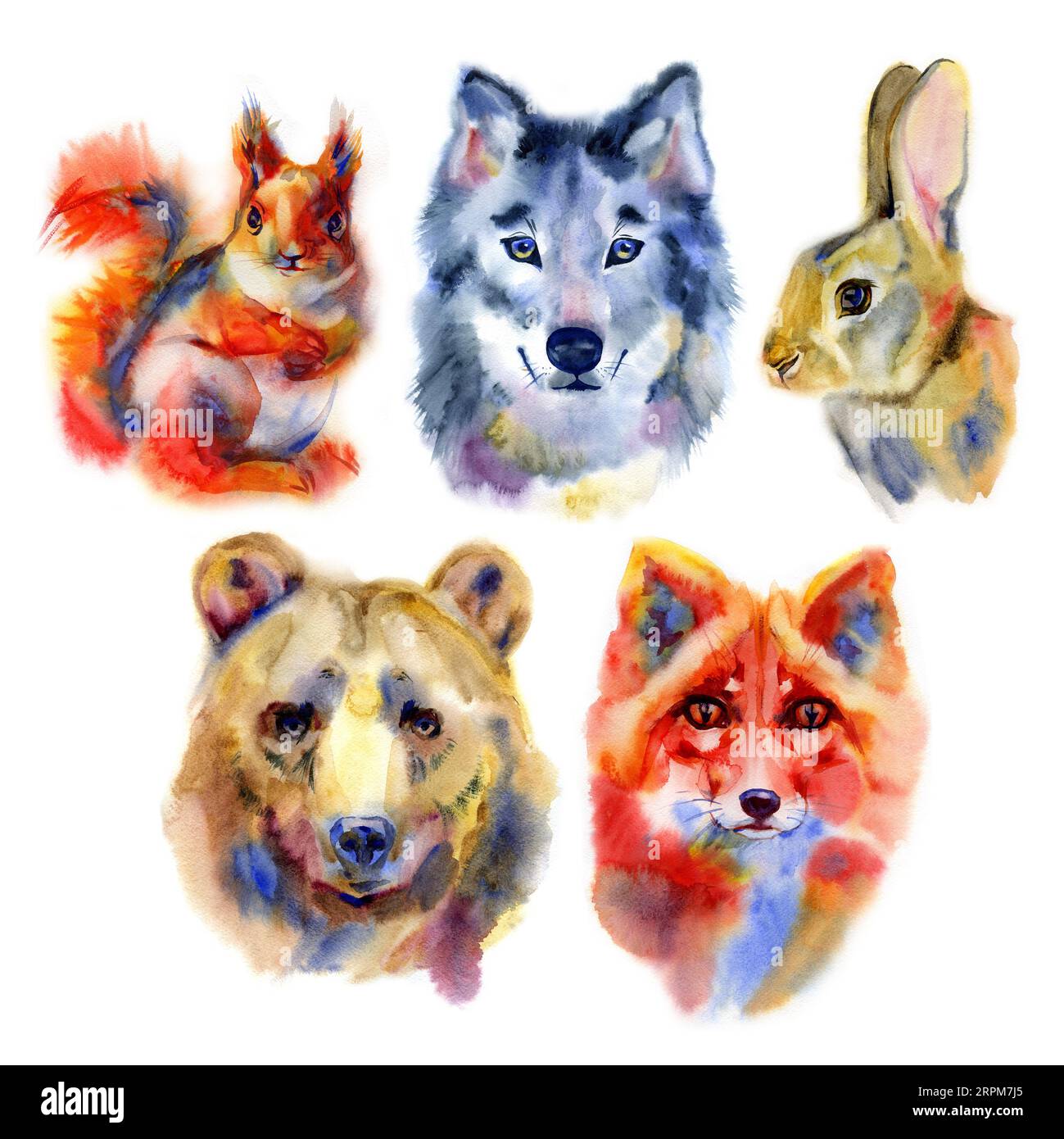 Ensemble d'animaux forestiers. Illustration aquarelle sur fond blanc. Banque D'Images