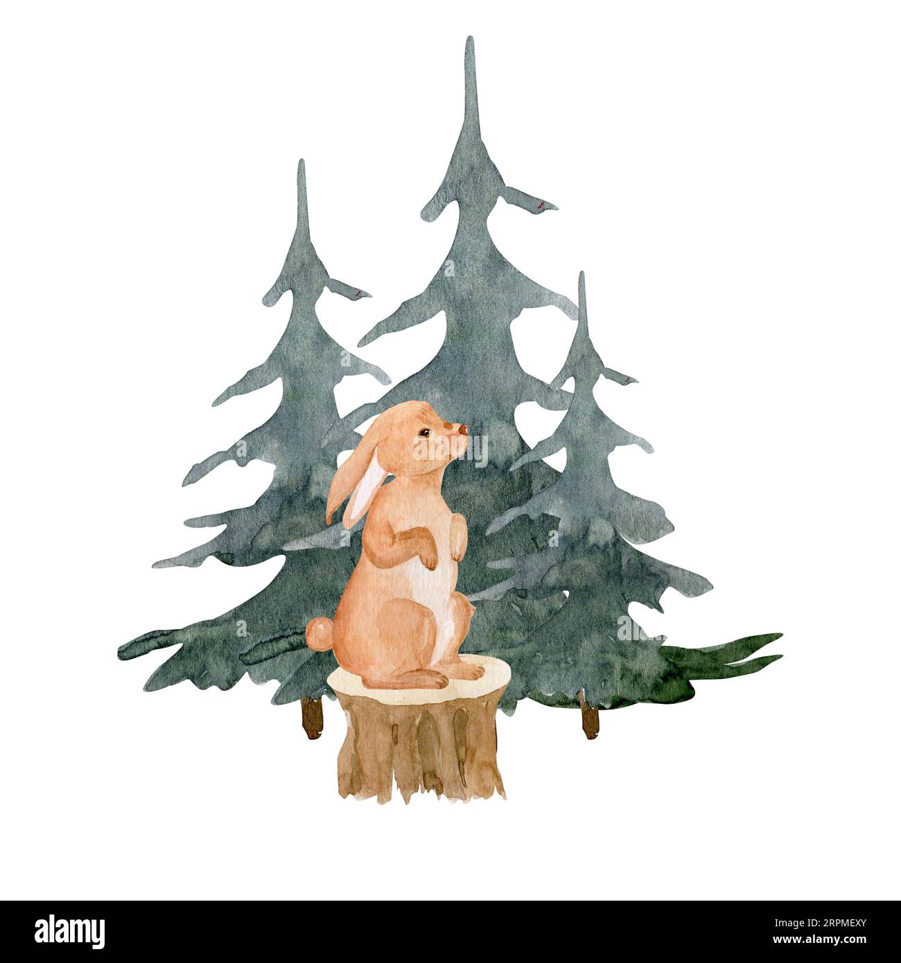 Composition aquarelle lièvre sur une souche de forêt en automne. Illustration dessinée à la main lièvre dans les pins, illustration forestière. Conception d'animaux forestiers pour pr Banque D'Images