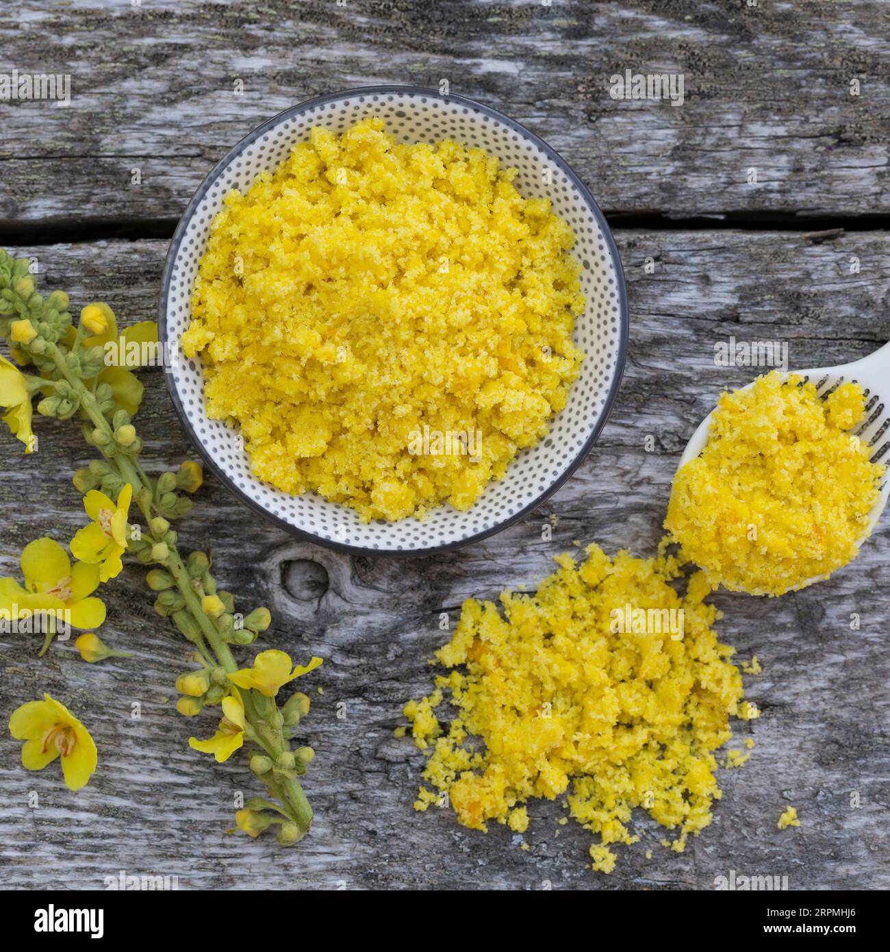 Molène (Verbascum spec.), sel de fleur fabriqué à partir de fleurs comestibles Banque D'Images